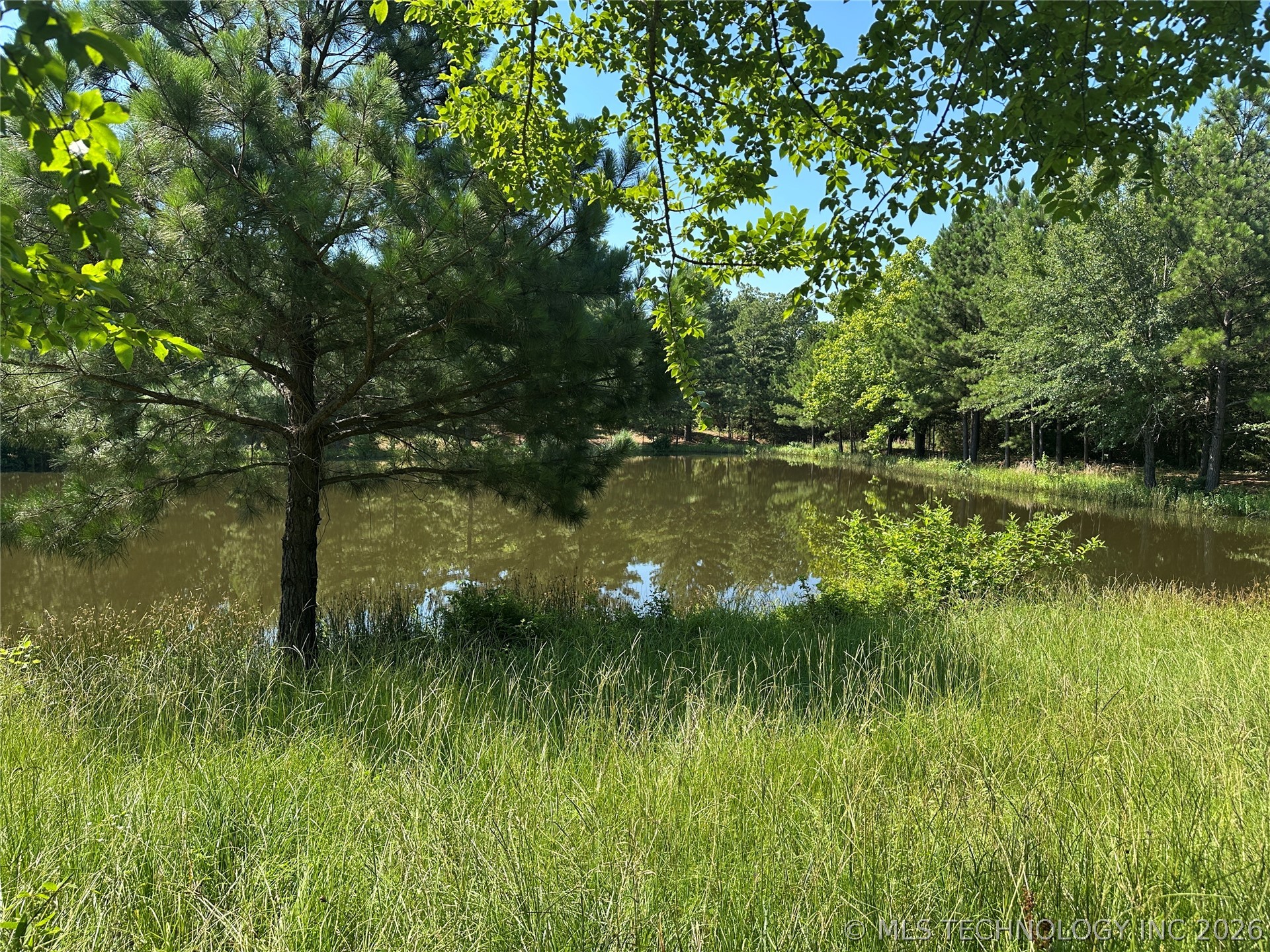 2623547 Property Photo 13