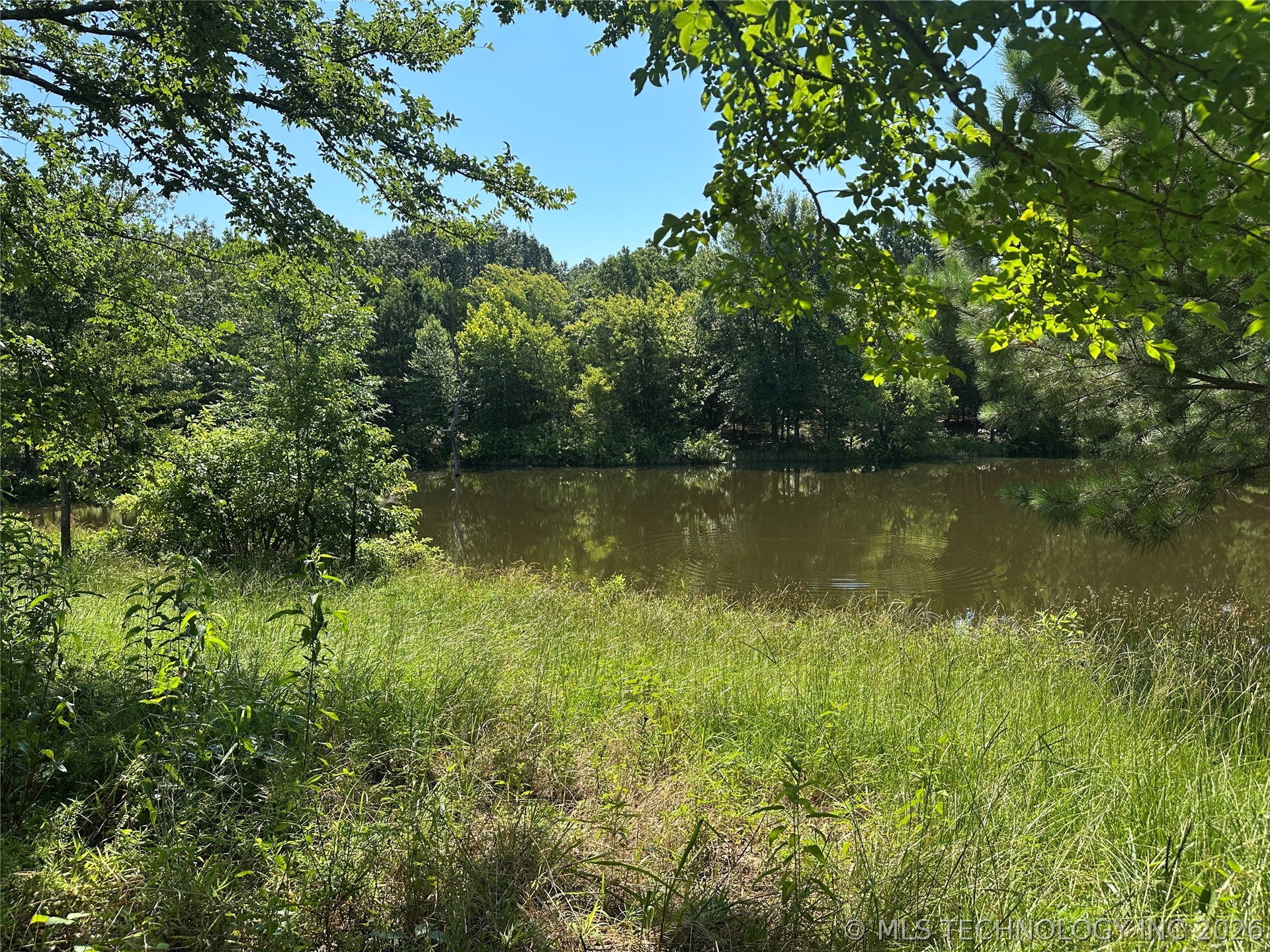 2623547 Property Photo 14