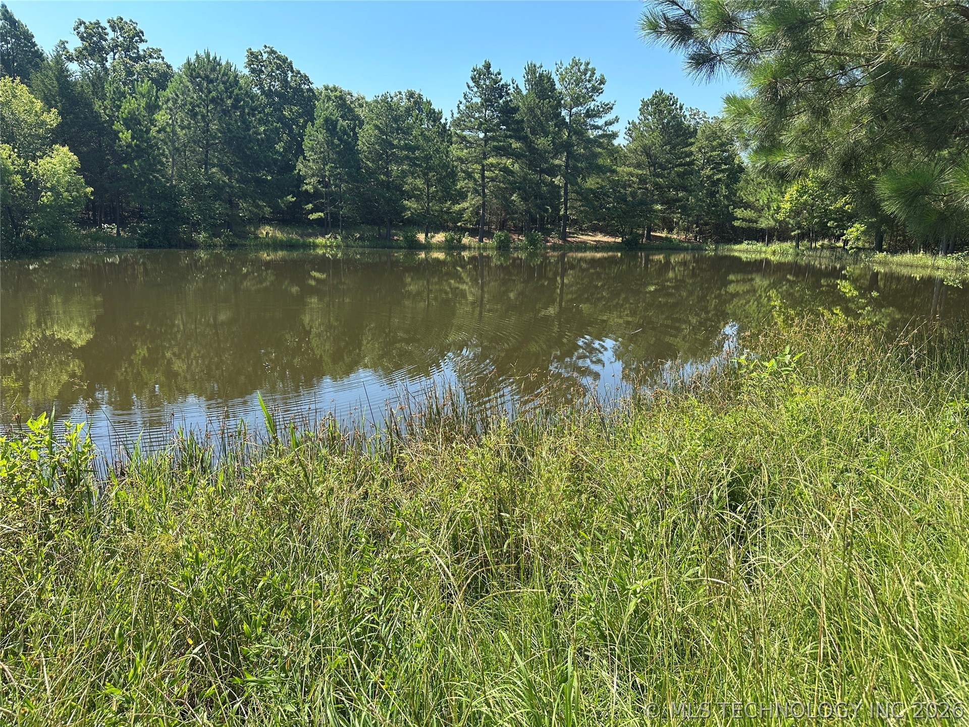 2623547 Property Photo 15