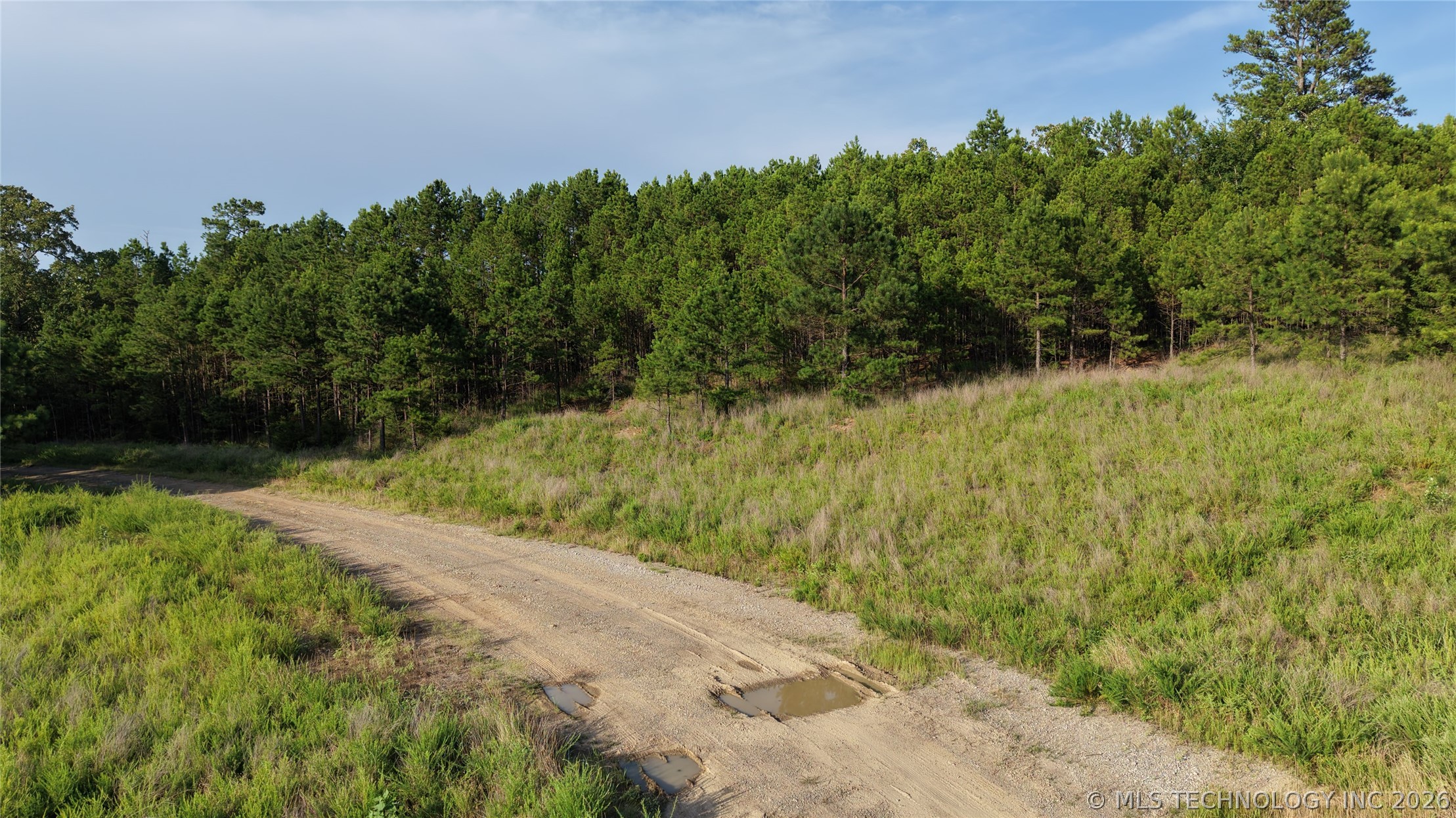 2623551 Property Photo 7