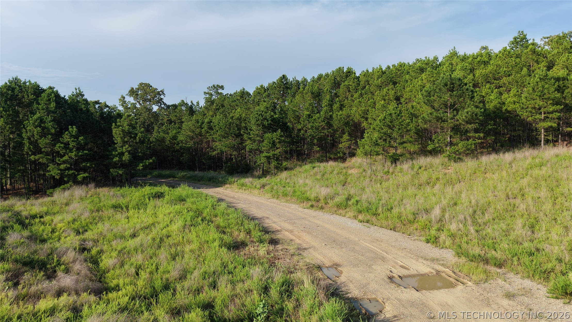 2623551 Property Photo 8