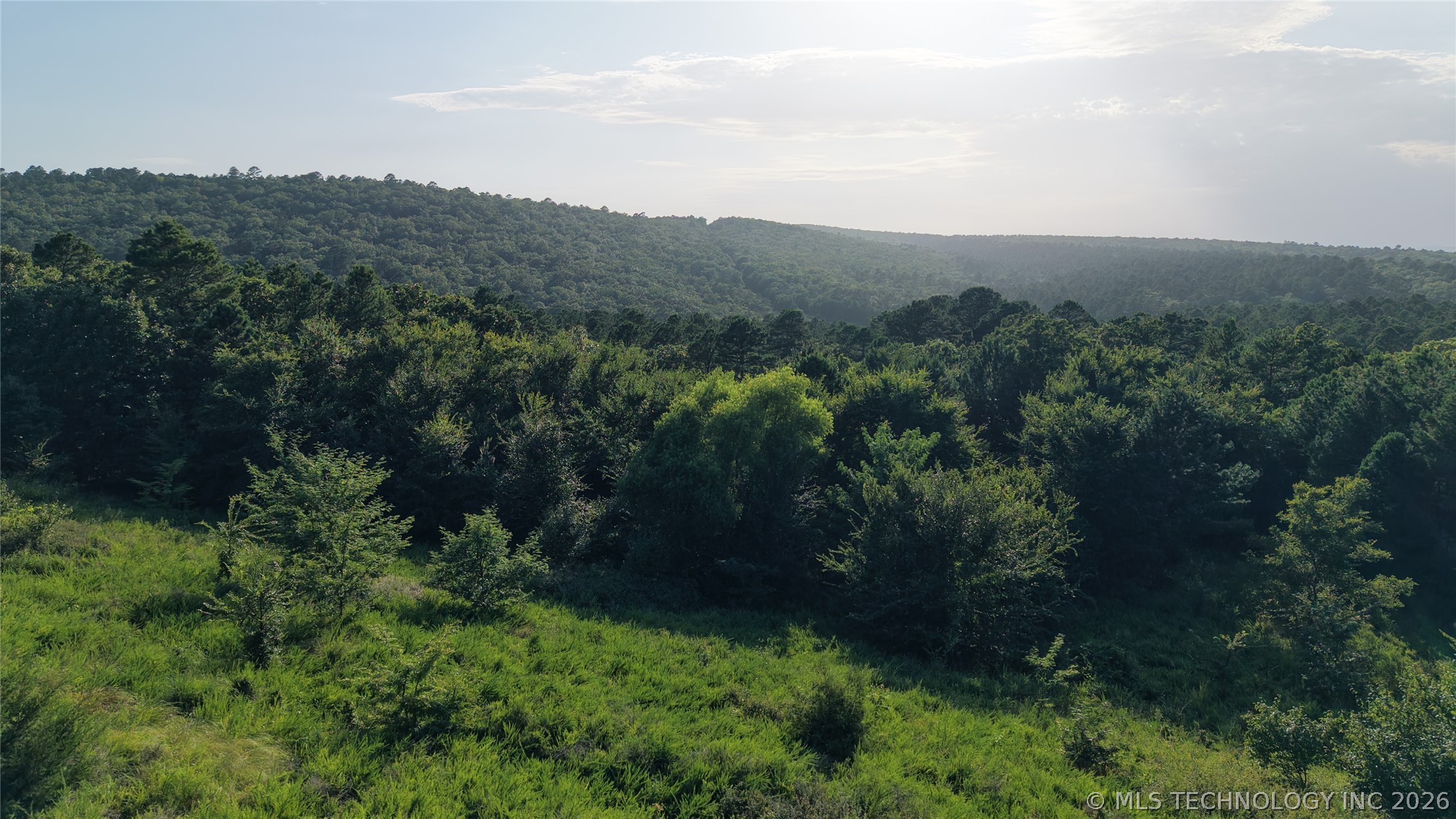 2623551 Property Photo 10
