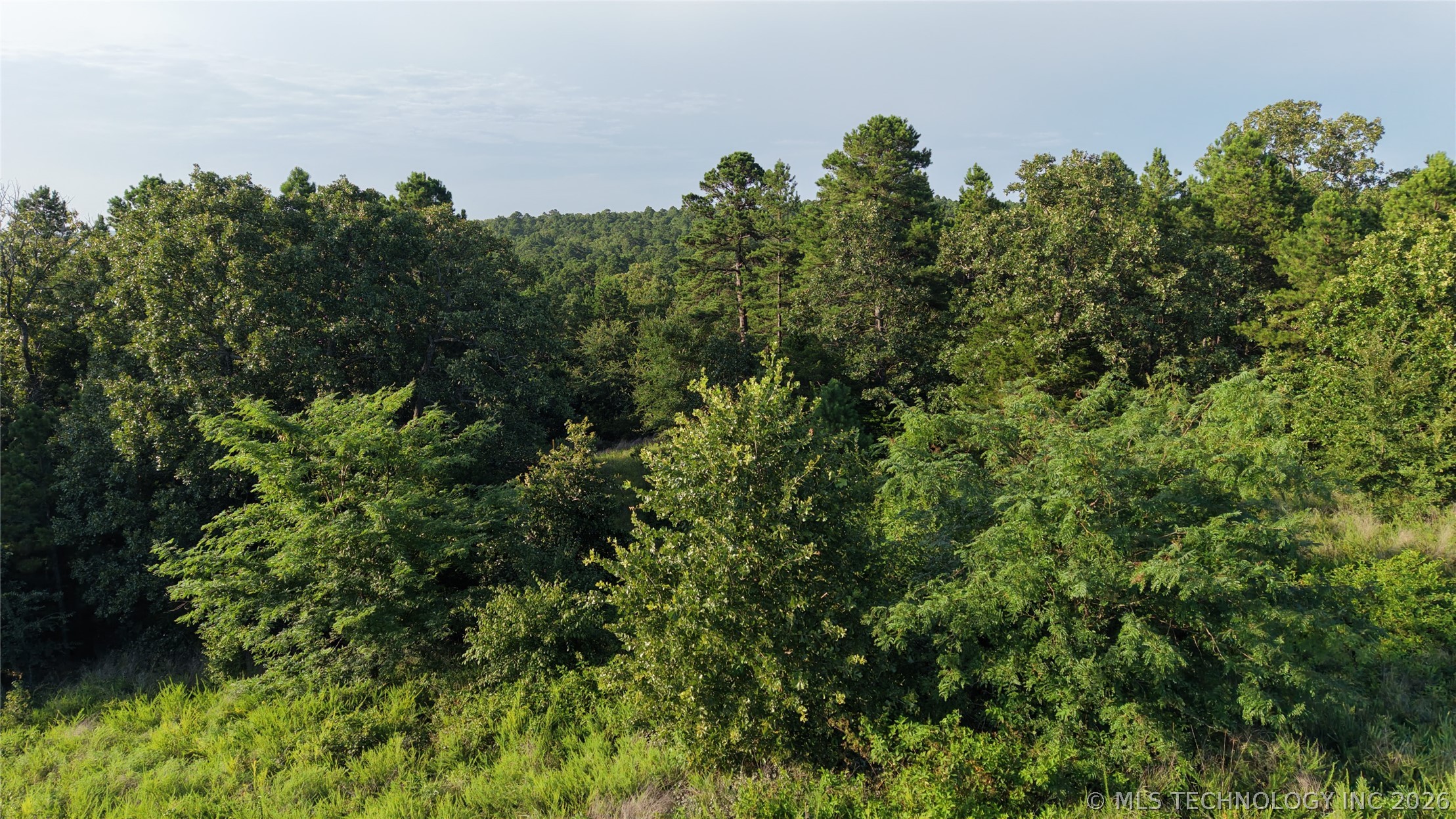 2623551 Property Photo 22