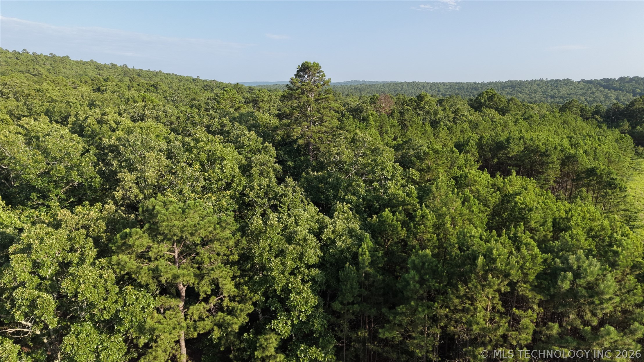 2623551 Property Photo 25