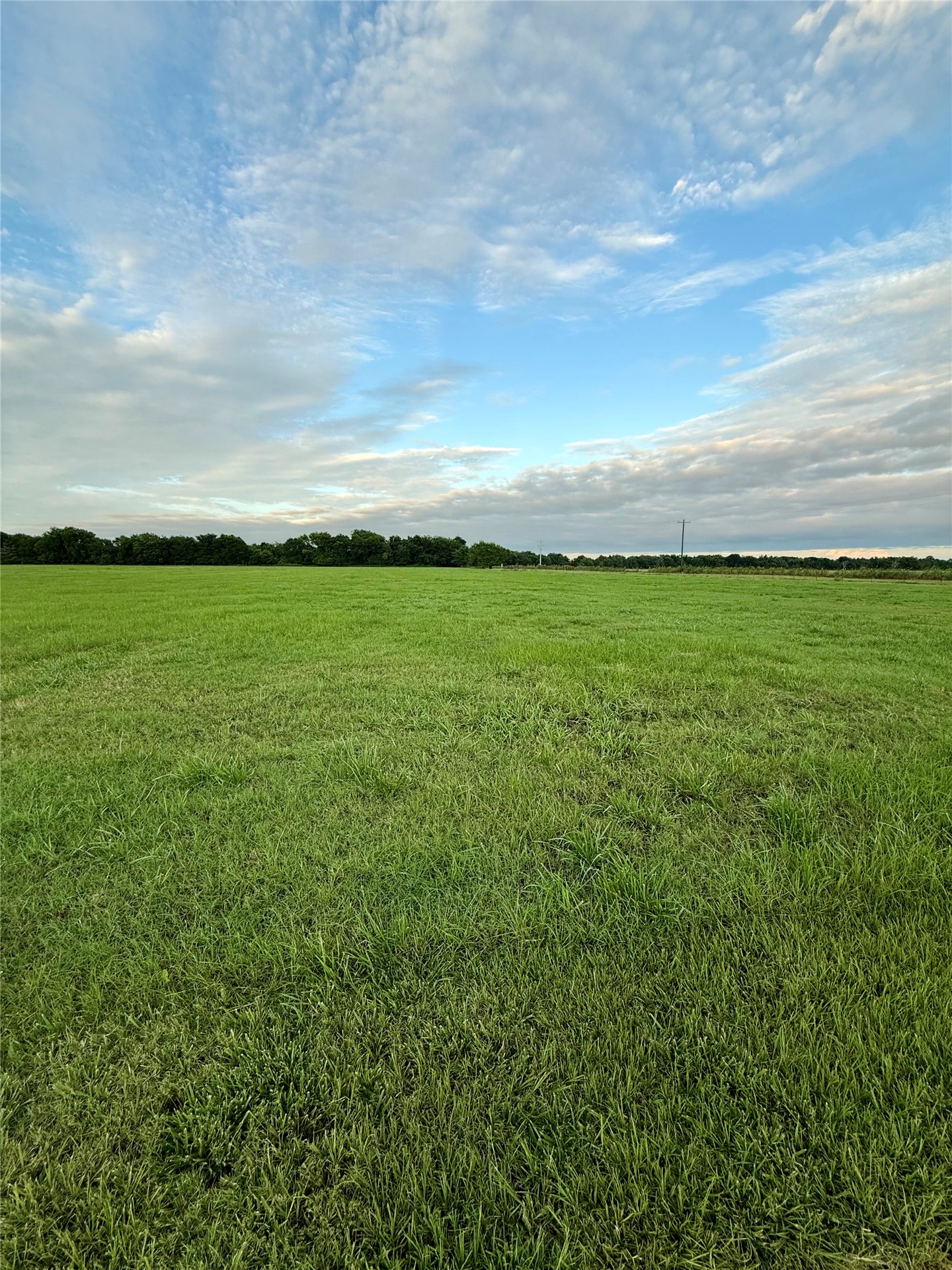 1 Dairy Drive Property Photo 2
