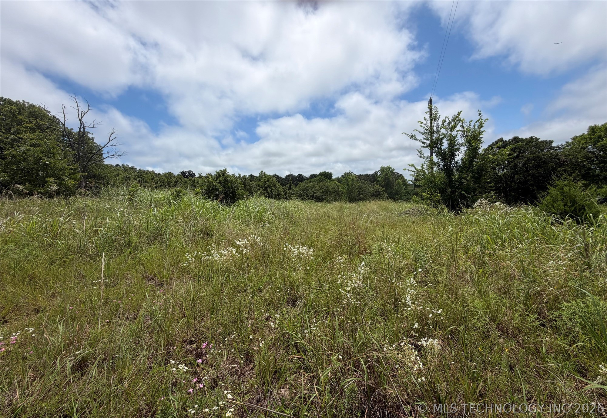 2786 Blazer Trail Property Photo 1