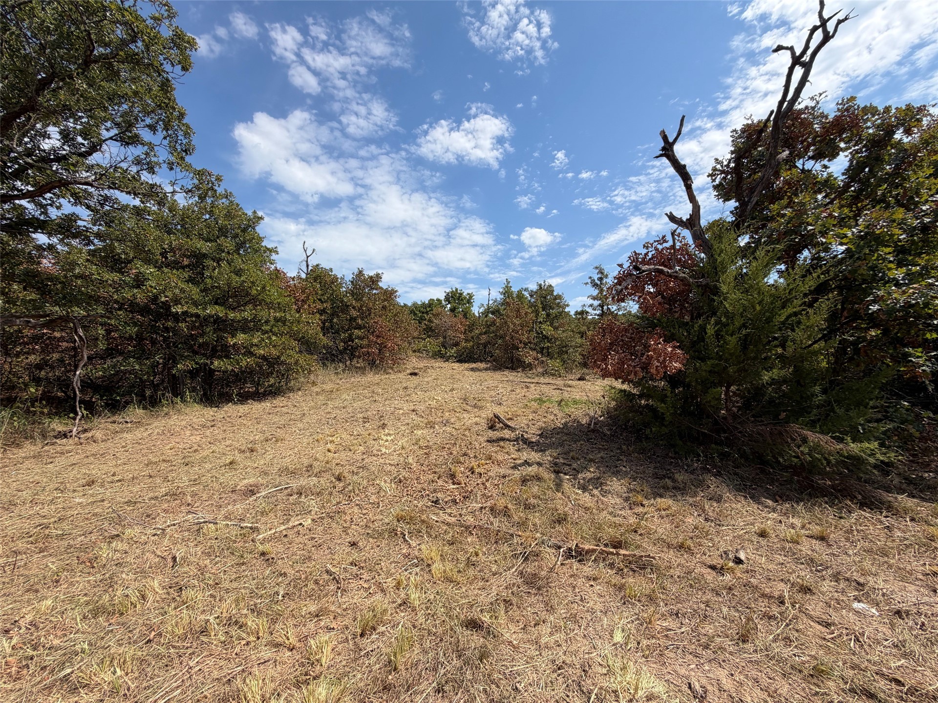2786 Blazer Trail