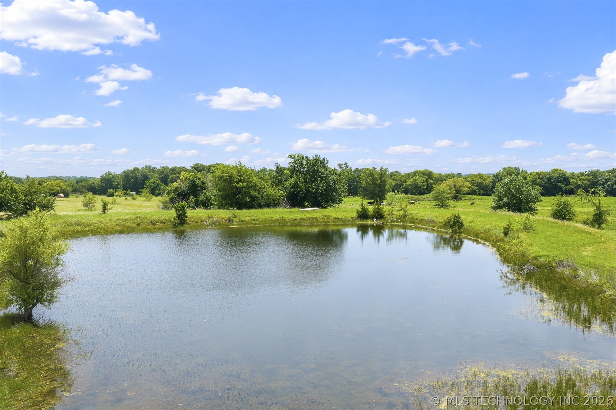 12851 Lidda Lane Property Photo 3
