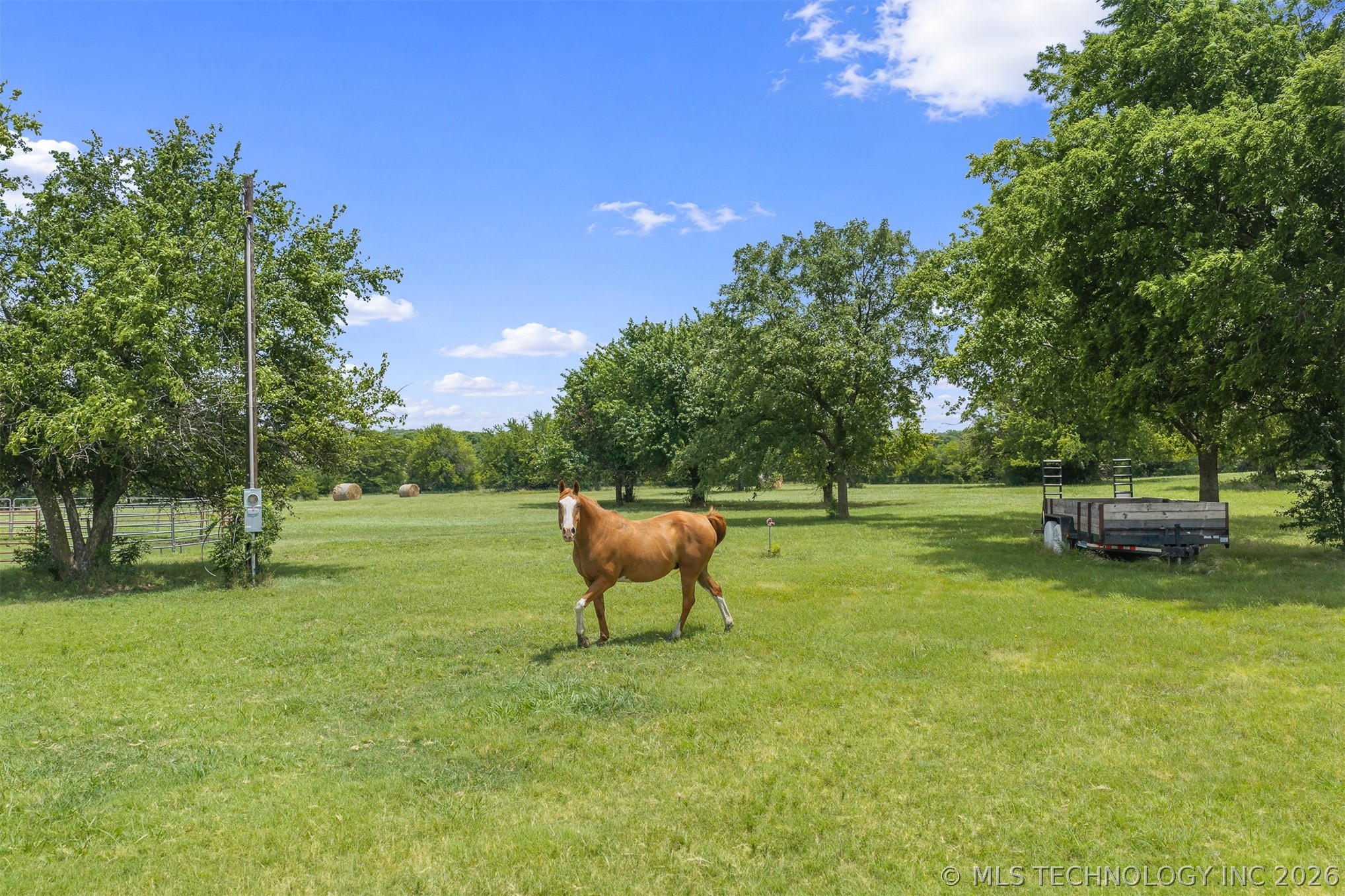 12851 Lidda Lane Property Photo 41