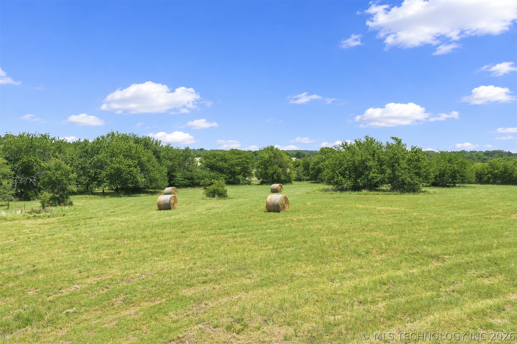 12851 Lidda Lane Property Photo 42