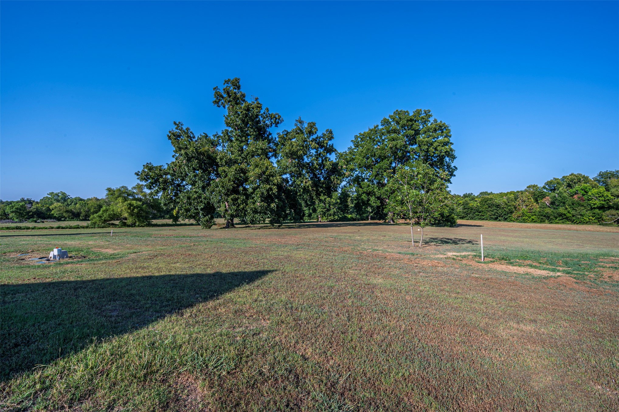 21750 County Road 3 Property Photo 33