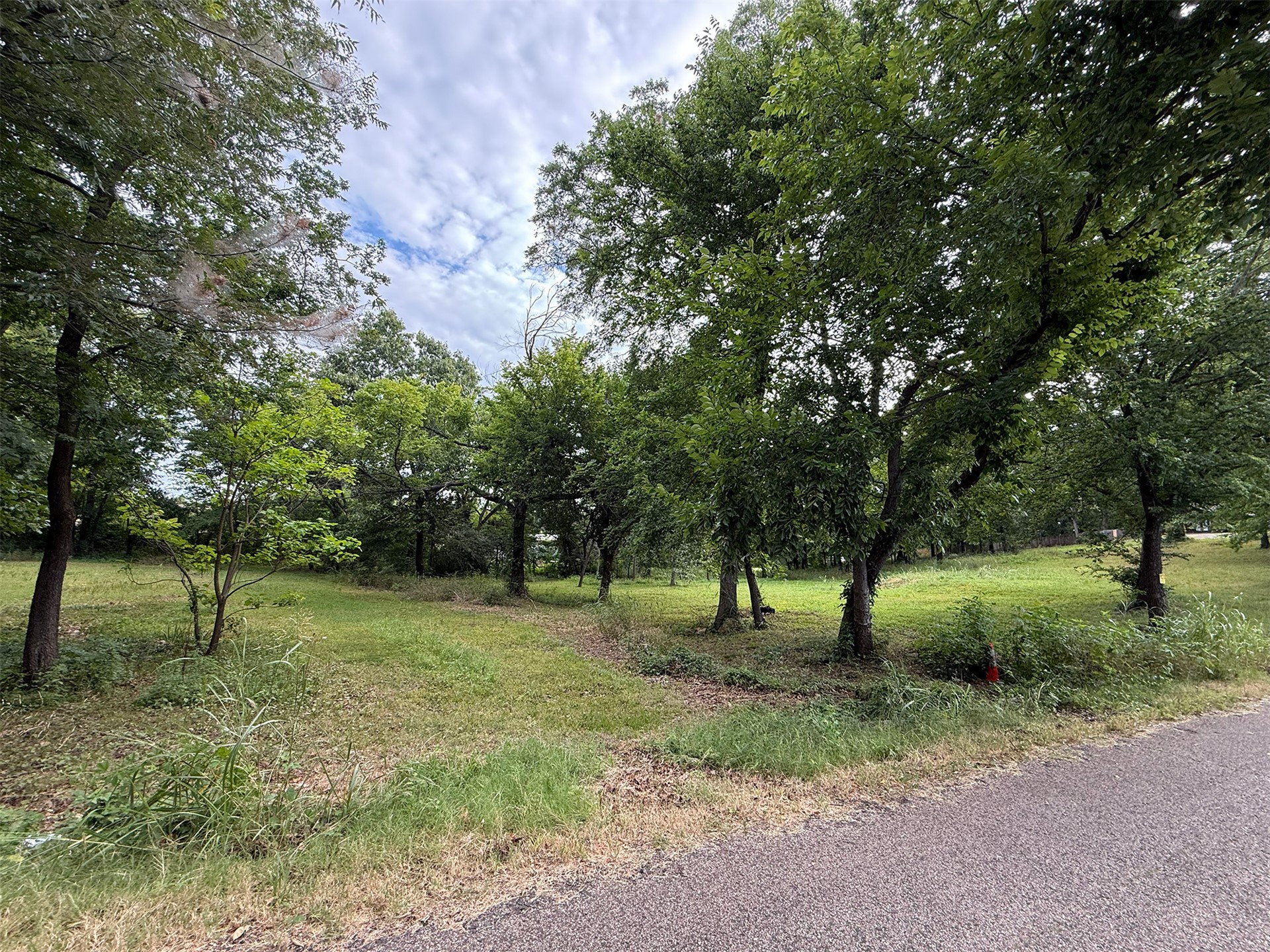 000 Rolling Wood Hills Drive Property Photo 5