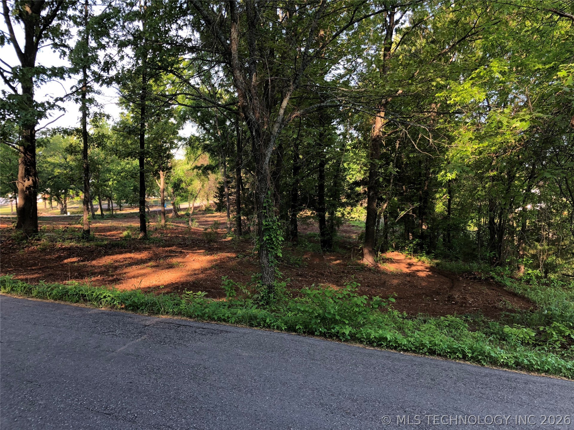 000 Rolling Wood Hills Drive Property Photo 7