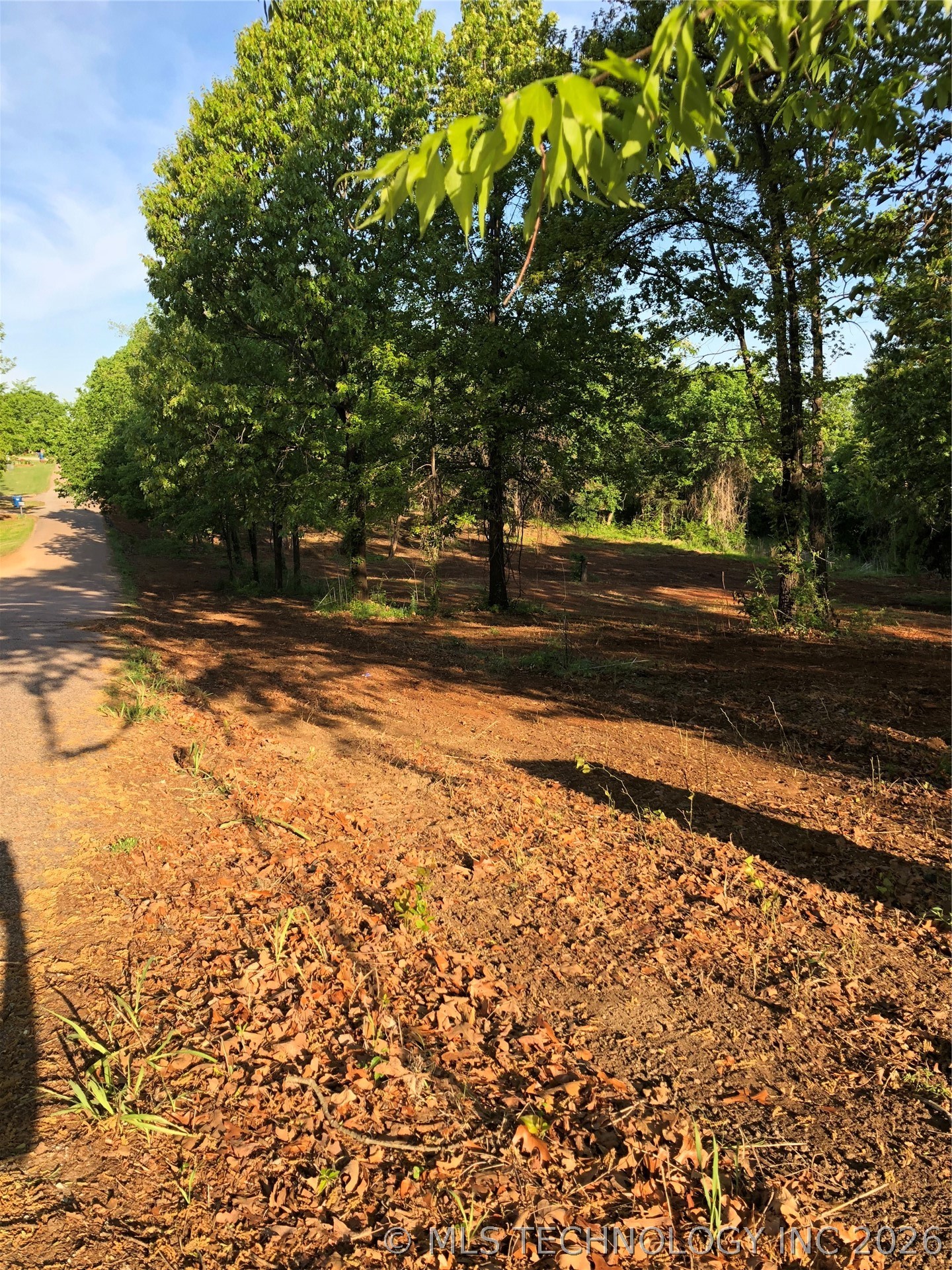 000 Rolling Wood Hills Drive Property Photo 14