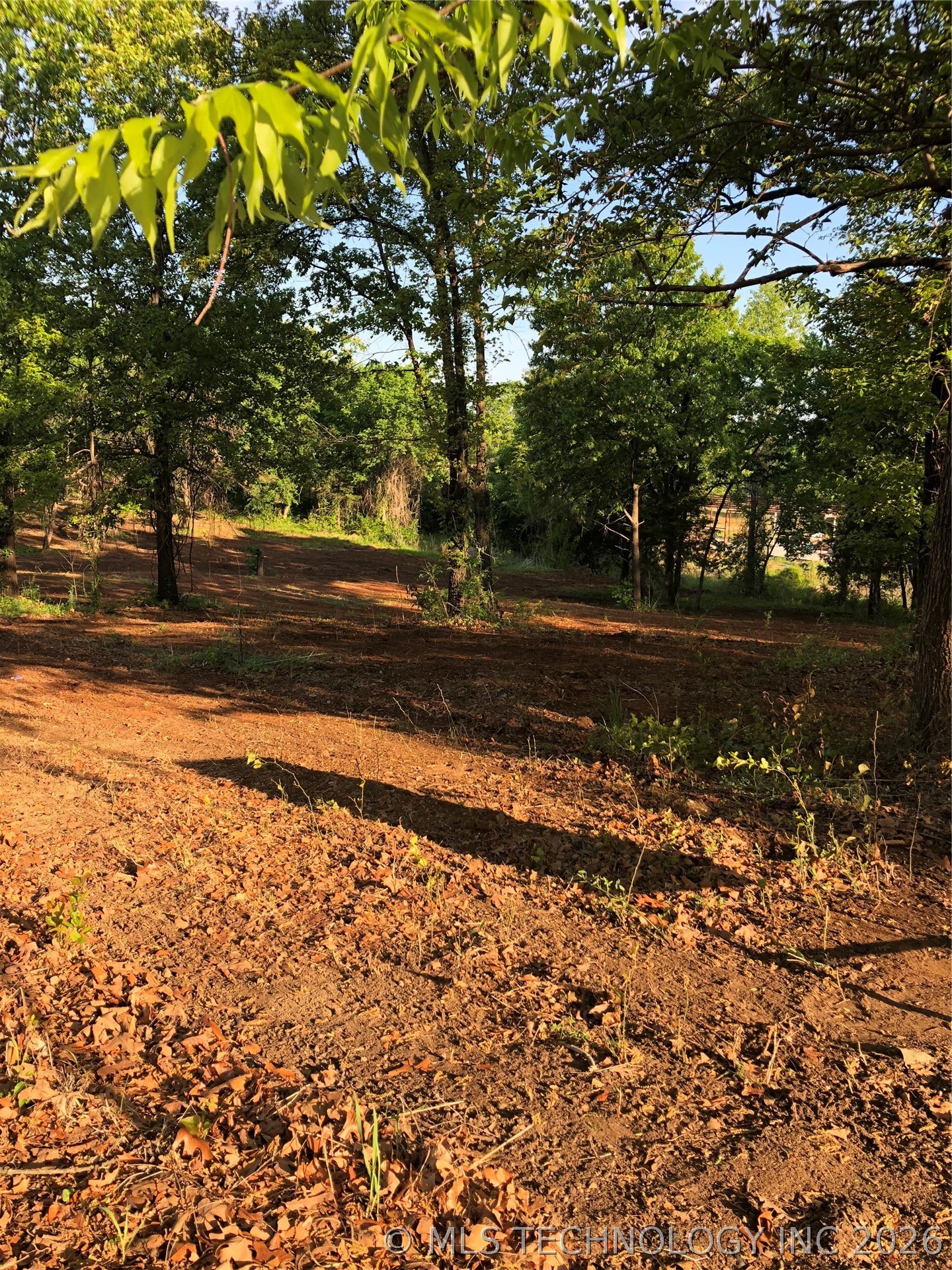 000 Rolling Wood Hills Drive Property Photo 15