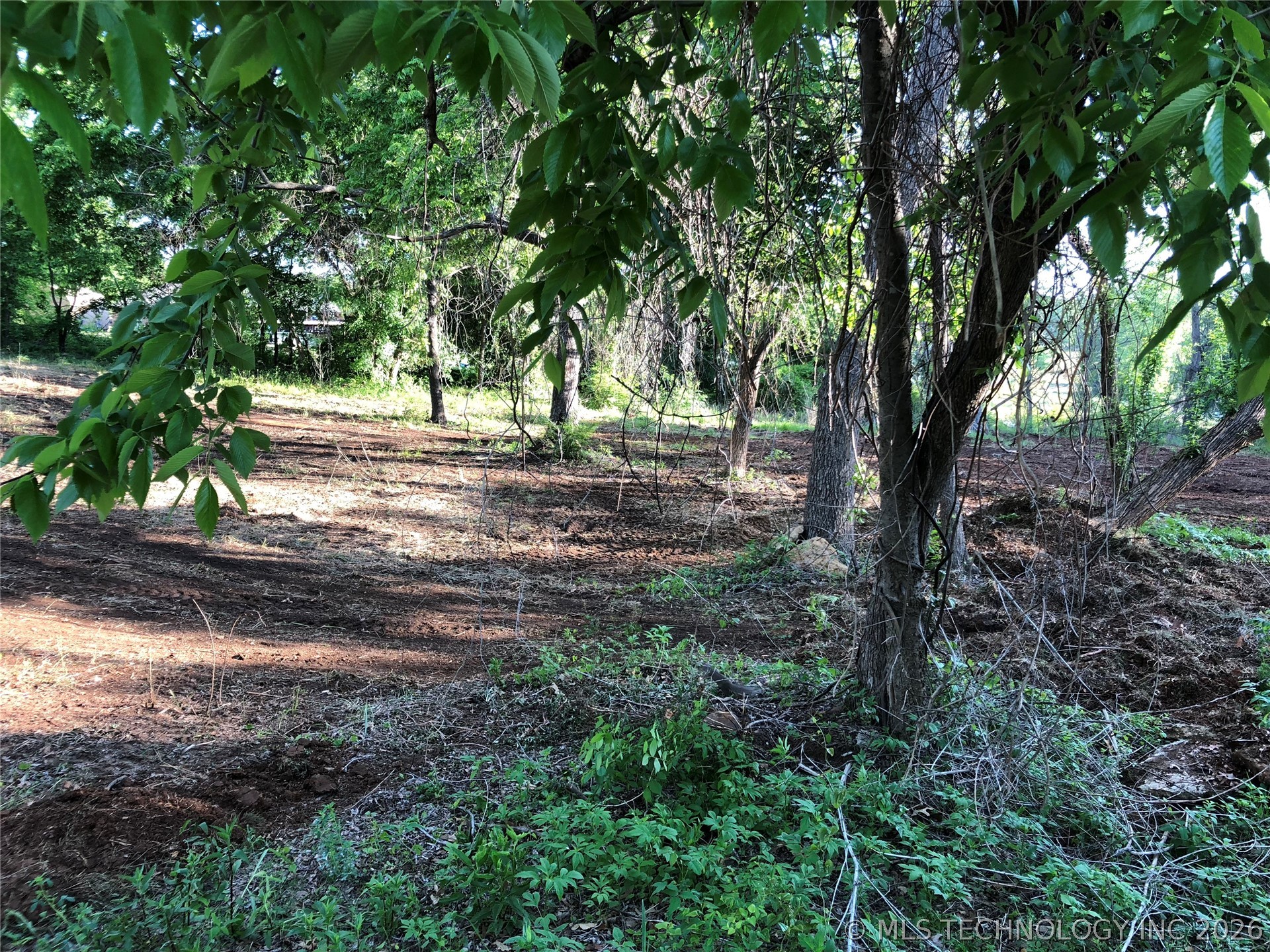 000 Rolling Wood Hills Drive Property Photo 21