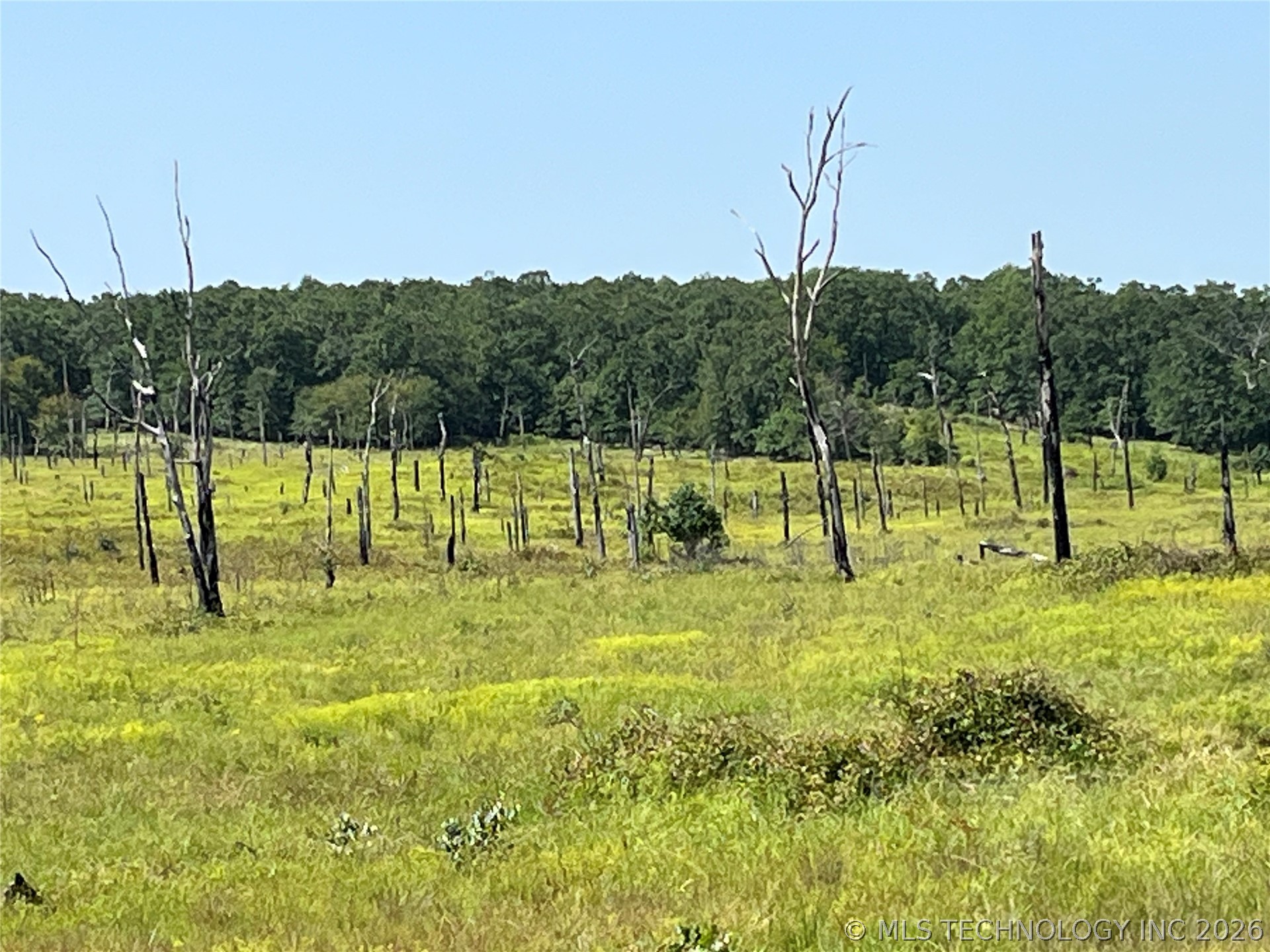 Hwy 69-75 Highway Property Photo 6