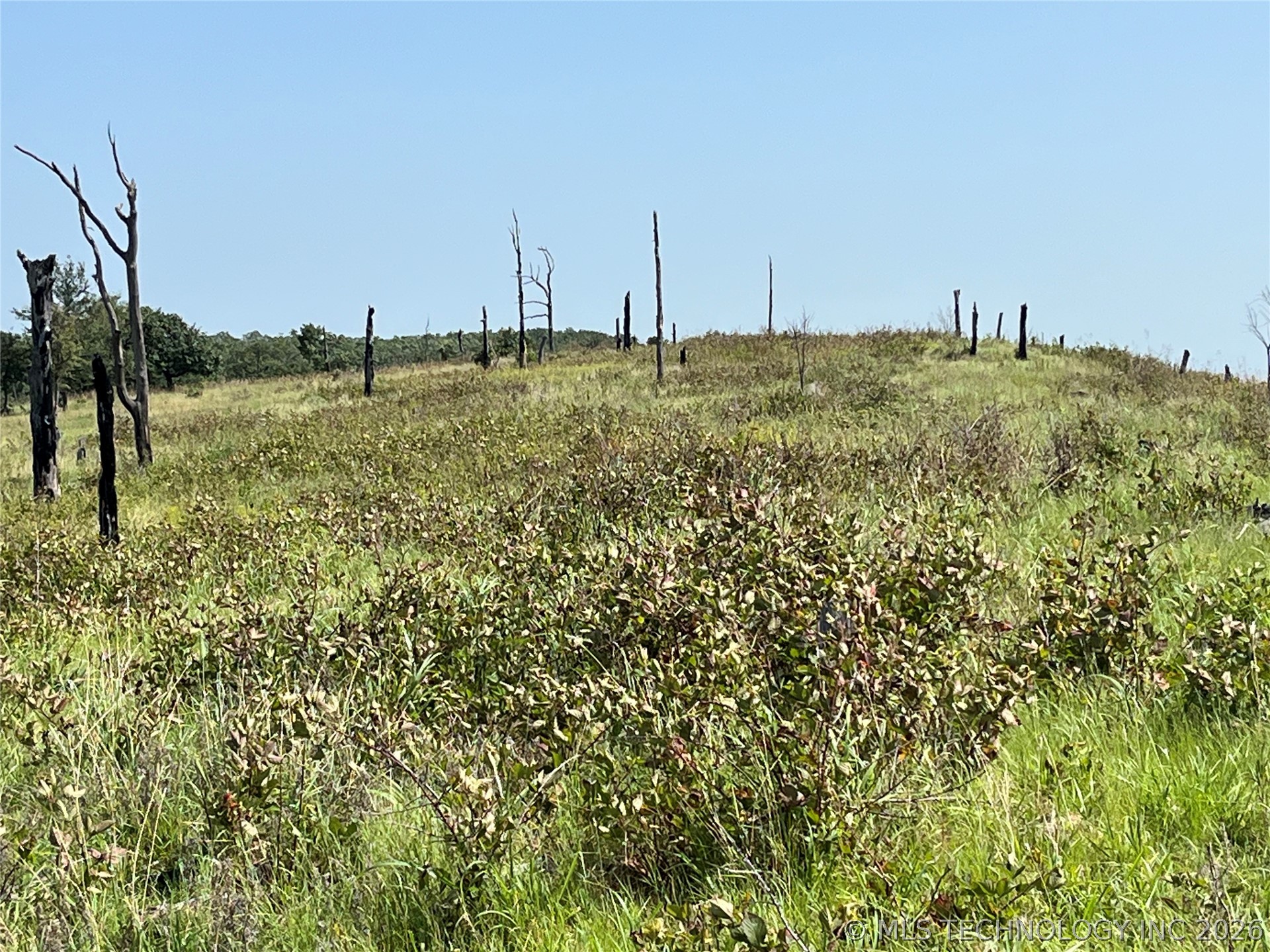 Hwy 69-75 Highway Property Photo 12