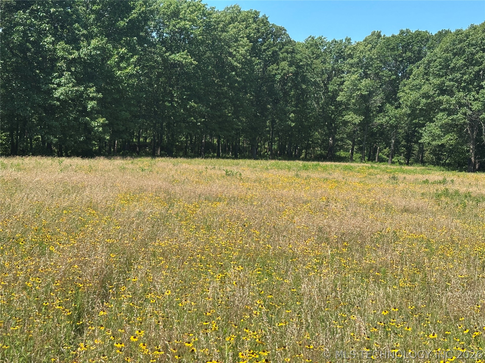 001 Cr 2240 Road Property Photo 2