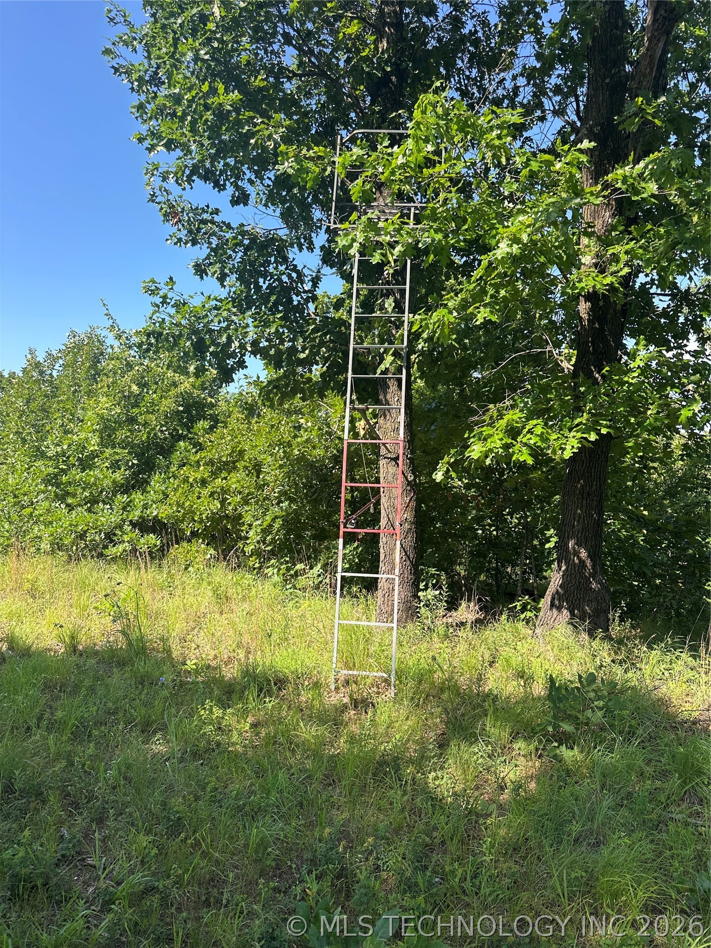 001 Cr 2240 Road Property Photo 14