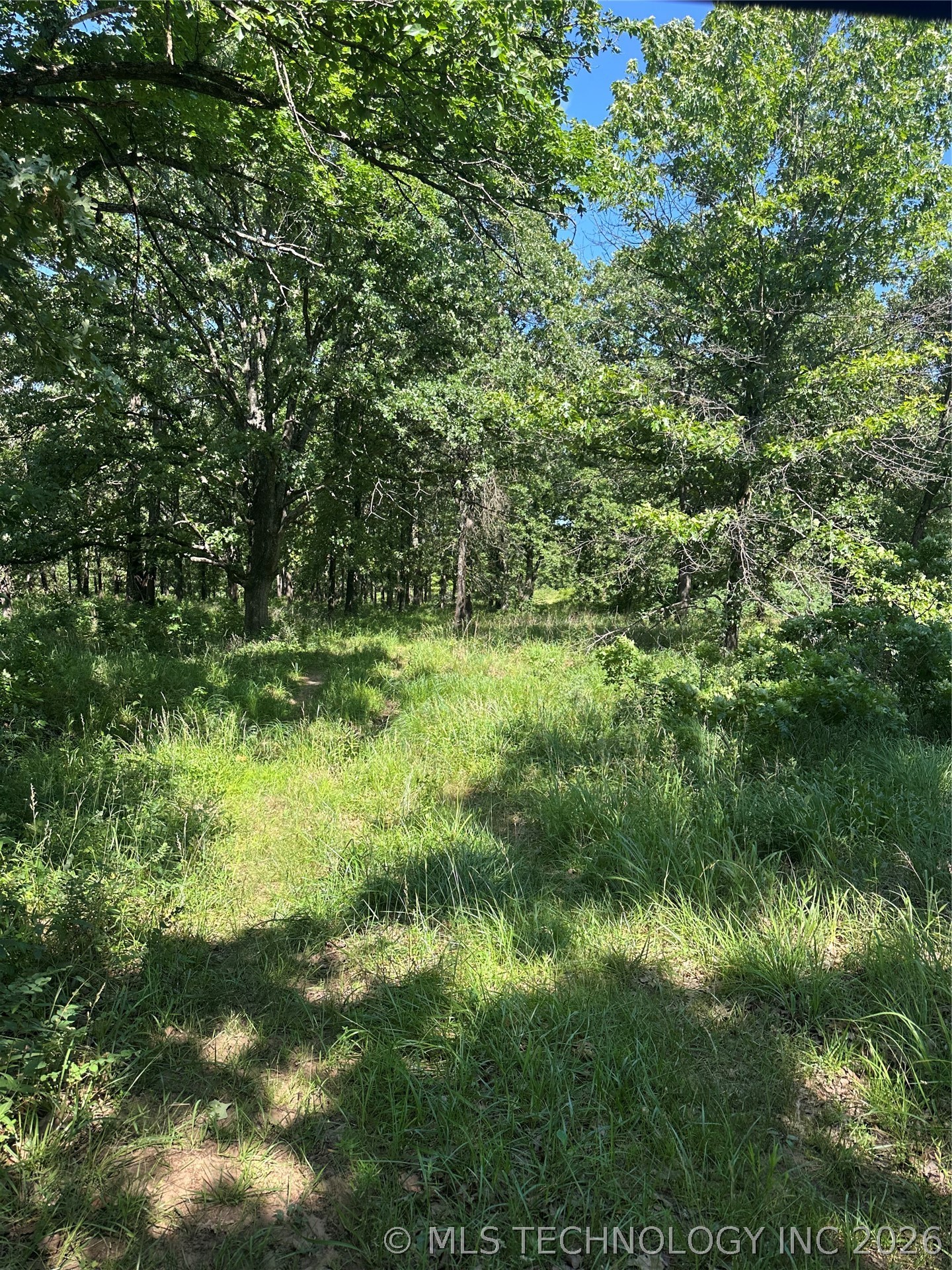 001 Cr 2240 Road Property Photo 16