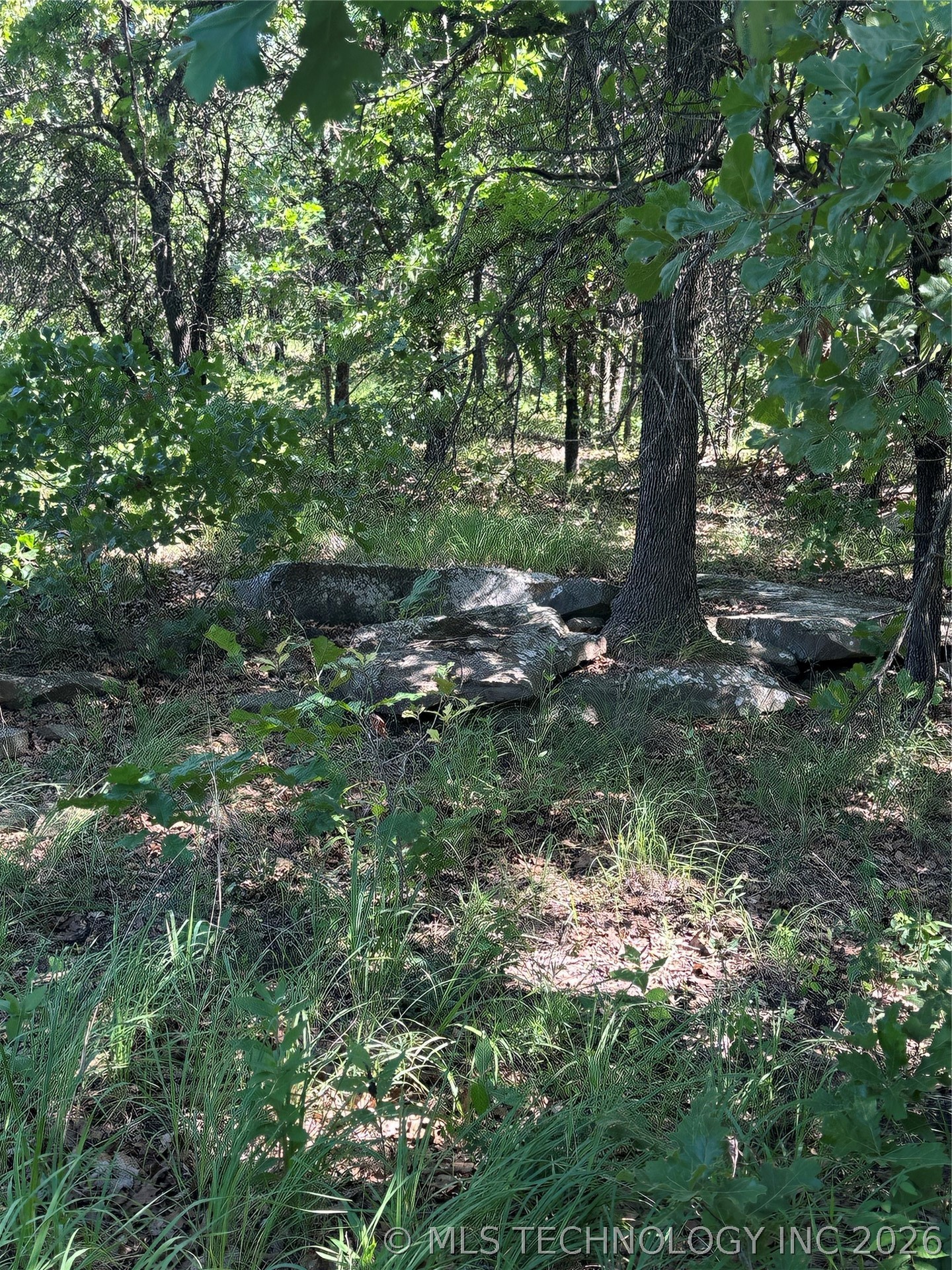 001 Cr 2240 Road Property Photo 22