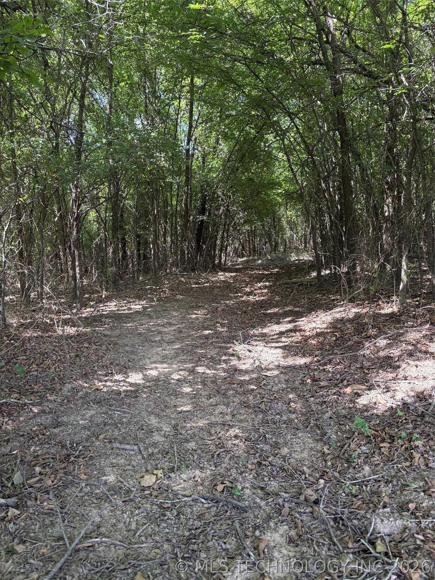 Lincoln Road Property Photo 11