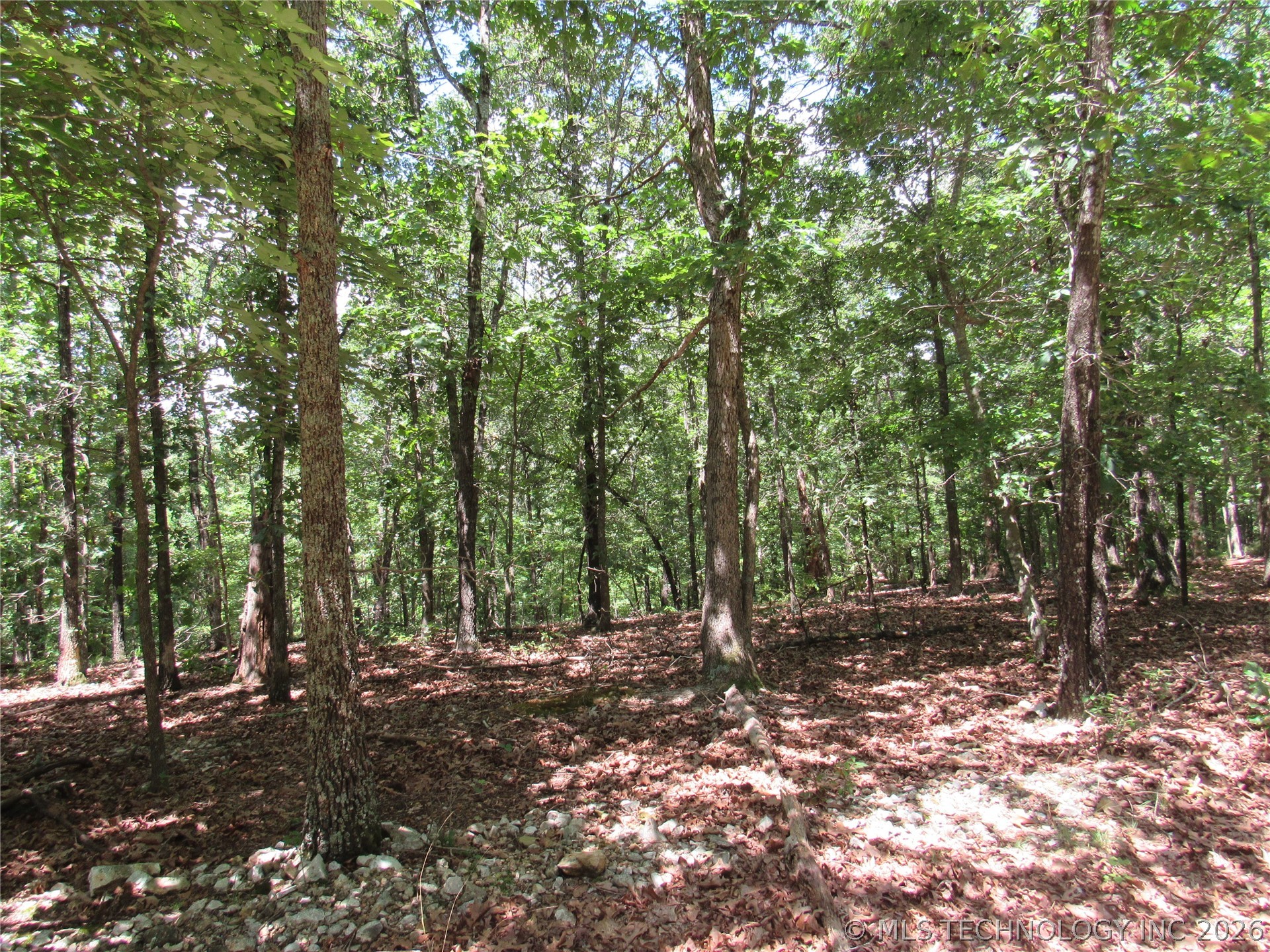 2624169 Property Photo 1