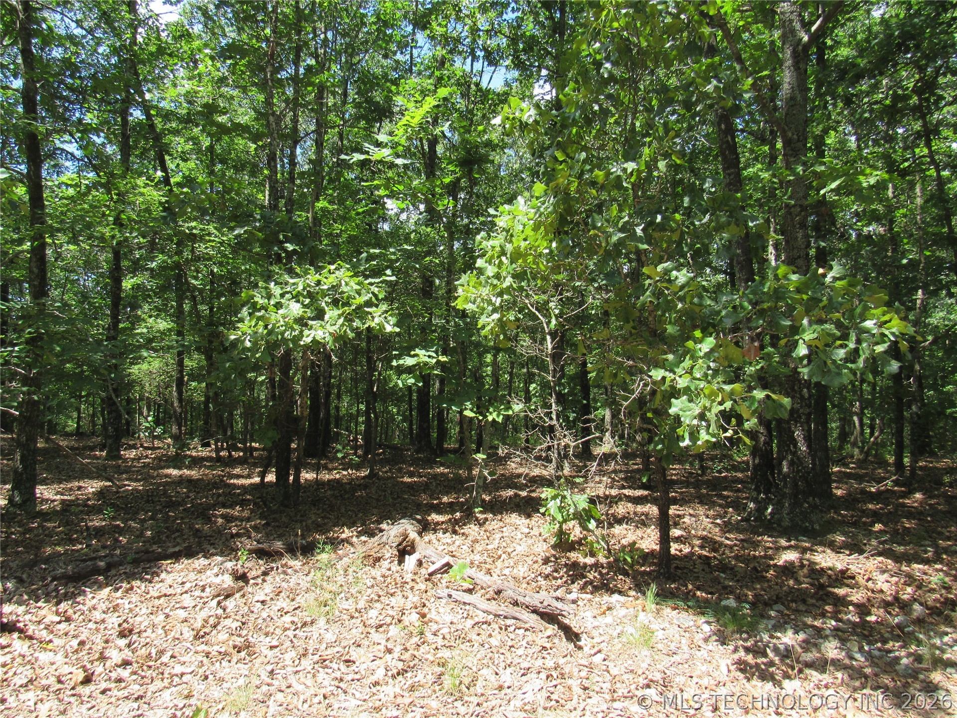2624169 Property Photo 2