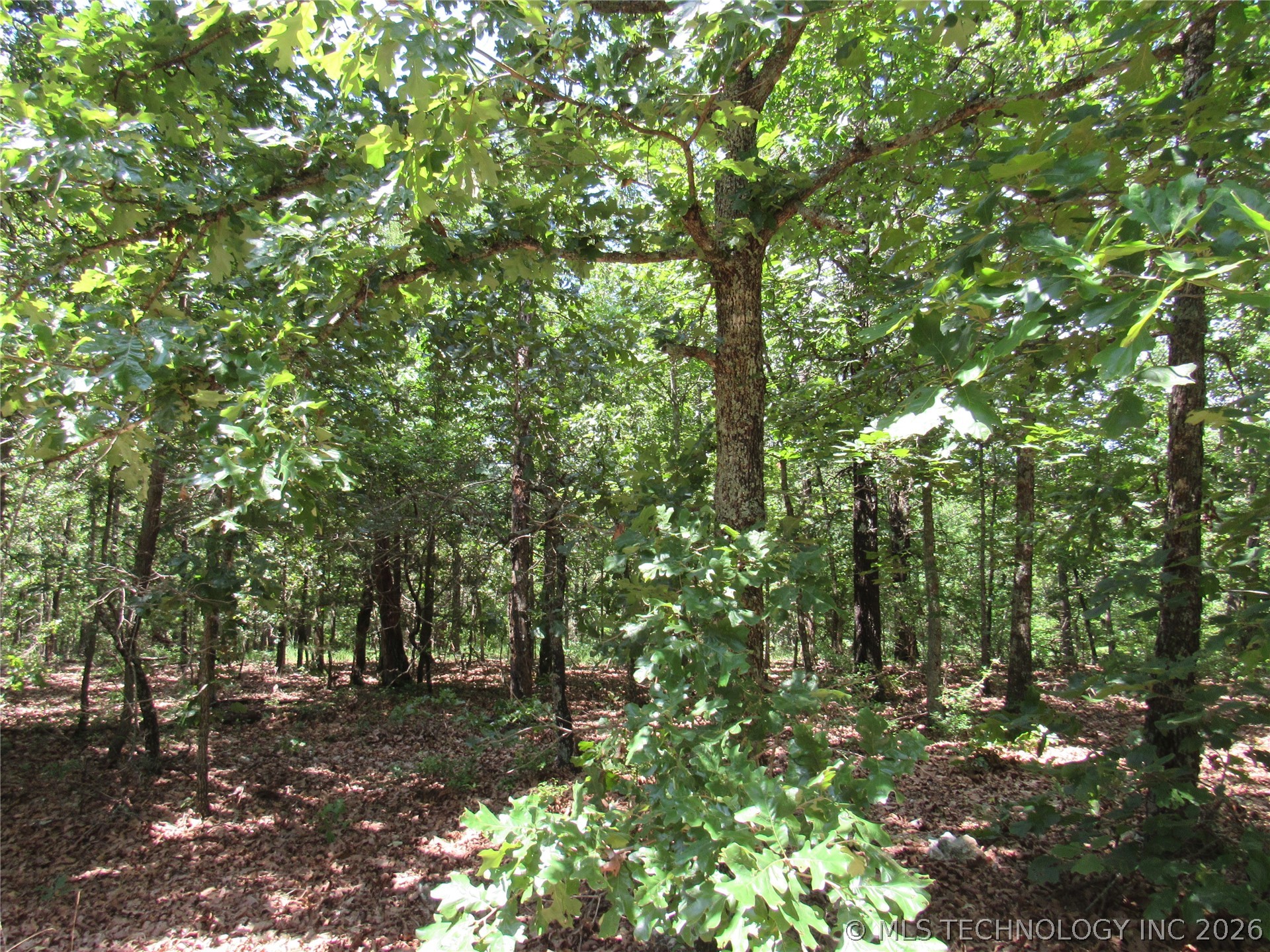 2624169 Property Photo 4