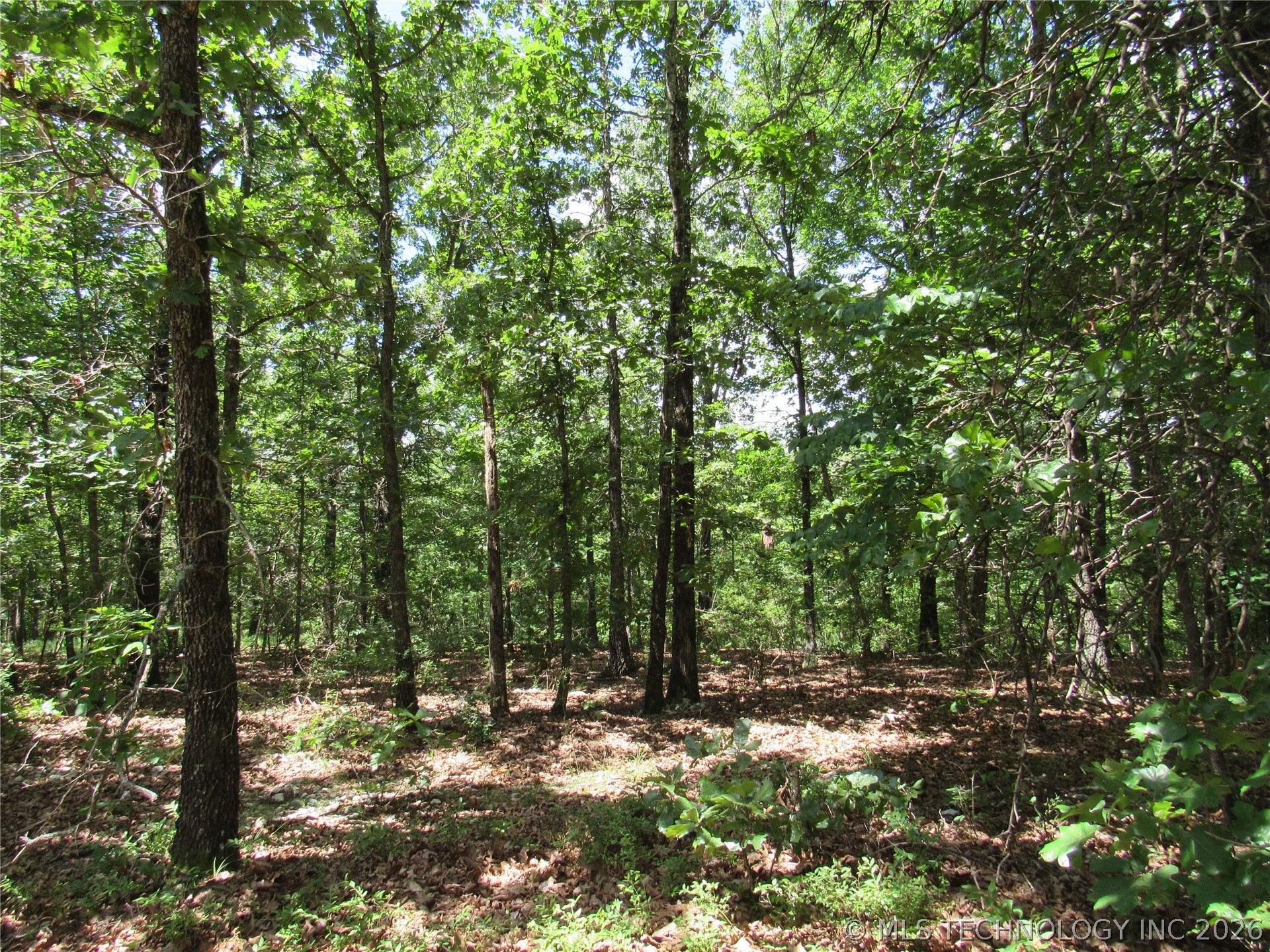 2624169 Property Photo 6