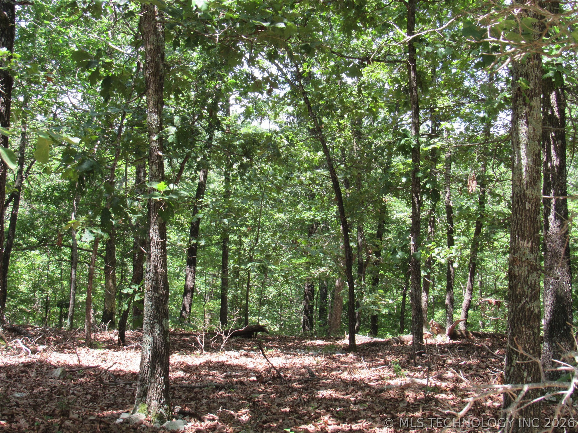 2624169 Property Photo 7