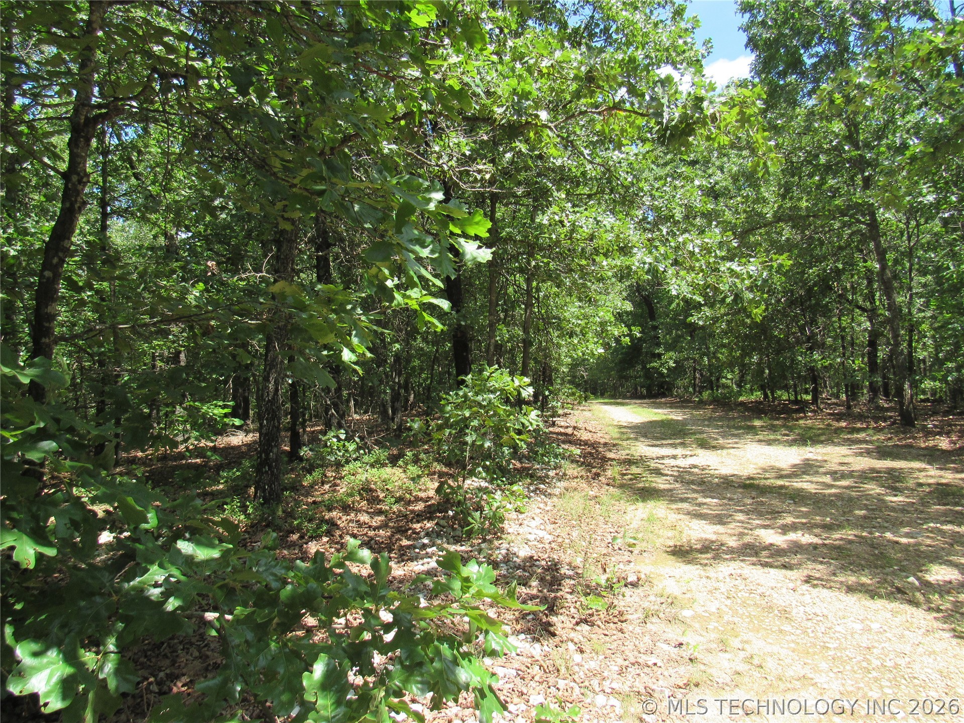 2624169 Property Photo 8
