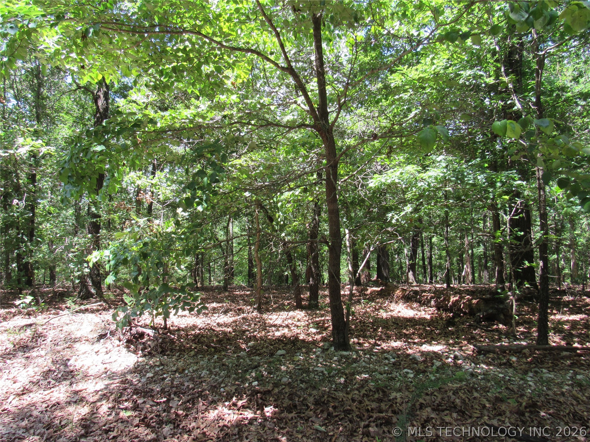 2624169 Property Photo 9