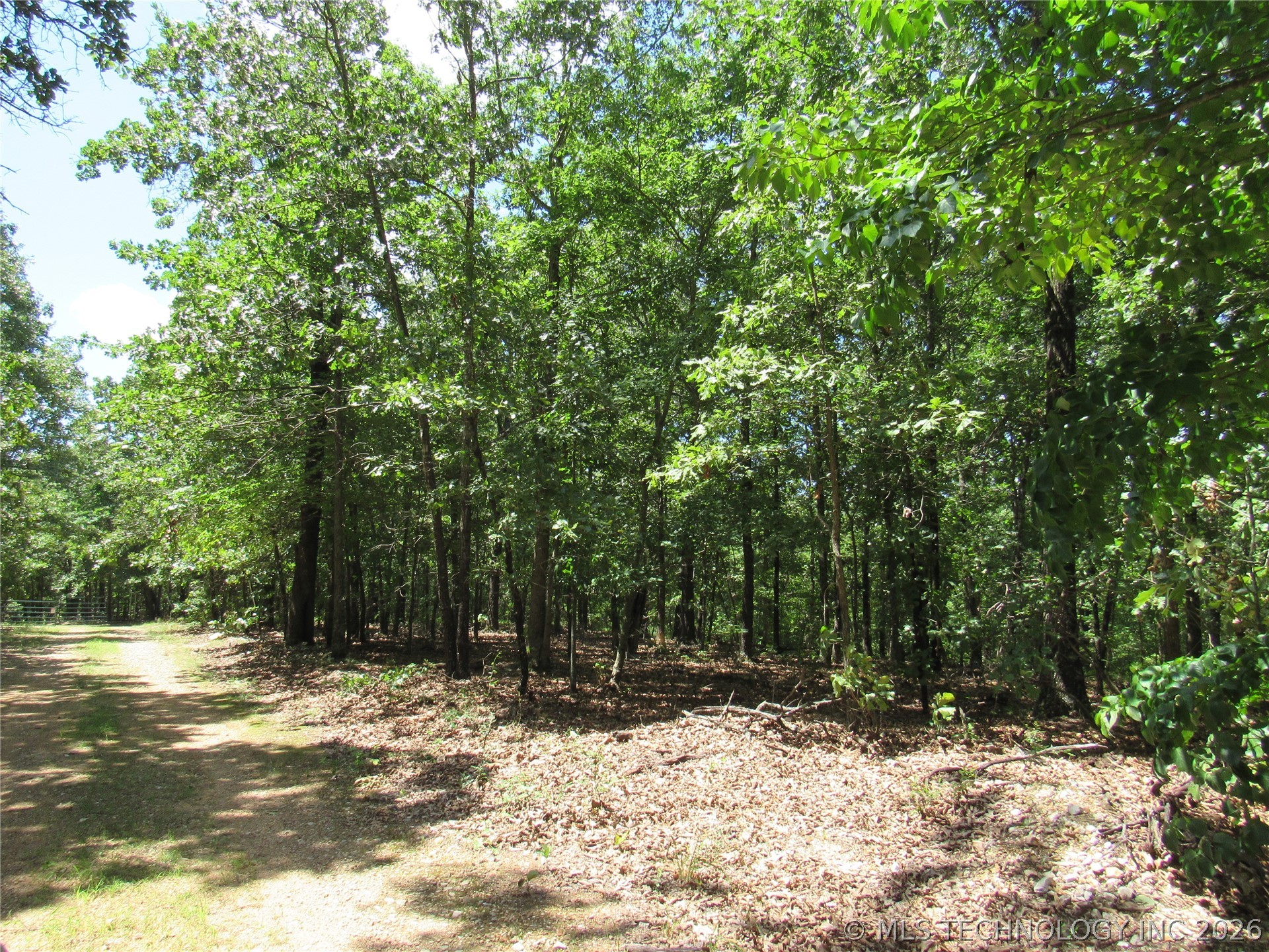 2624169 Property Photo 10