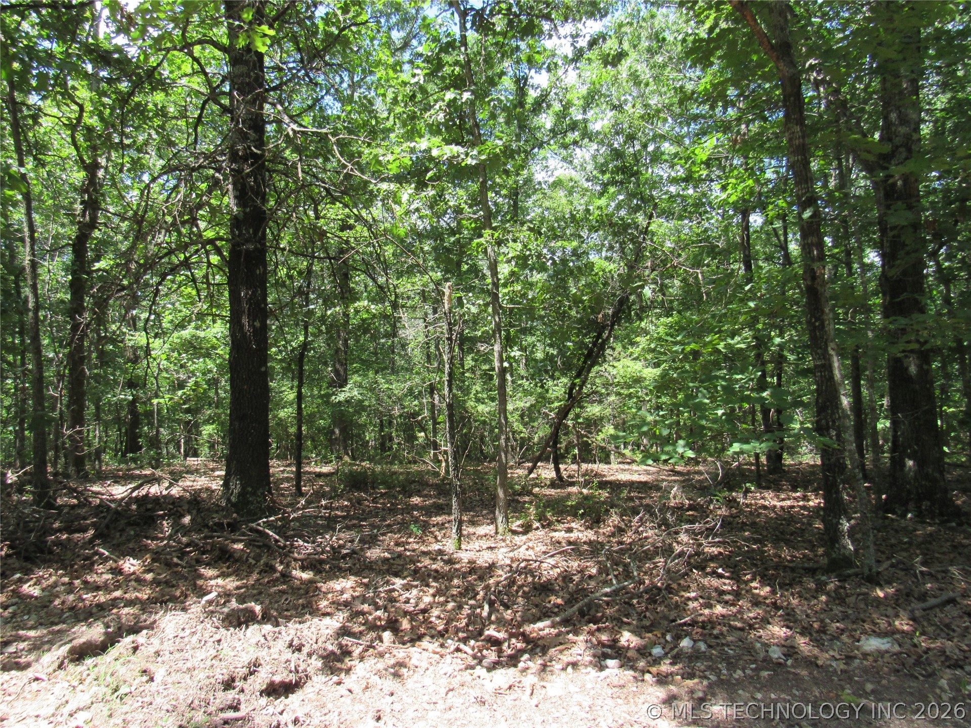 2624169 Property Photo 11