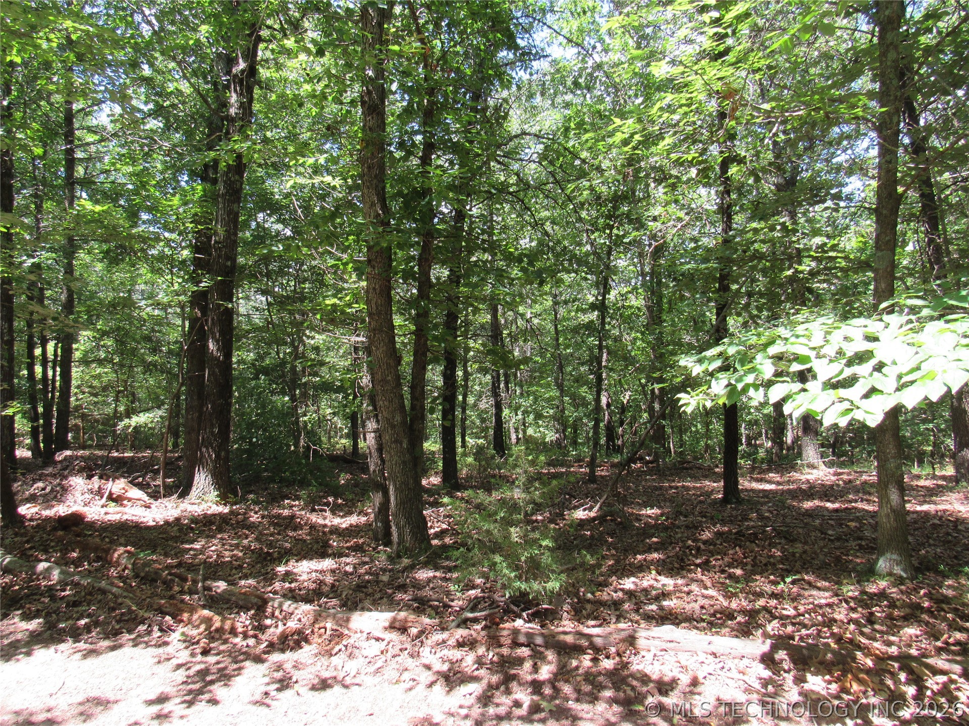 2624169 Property Photo 12