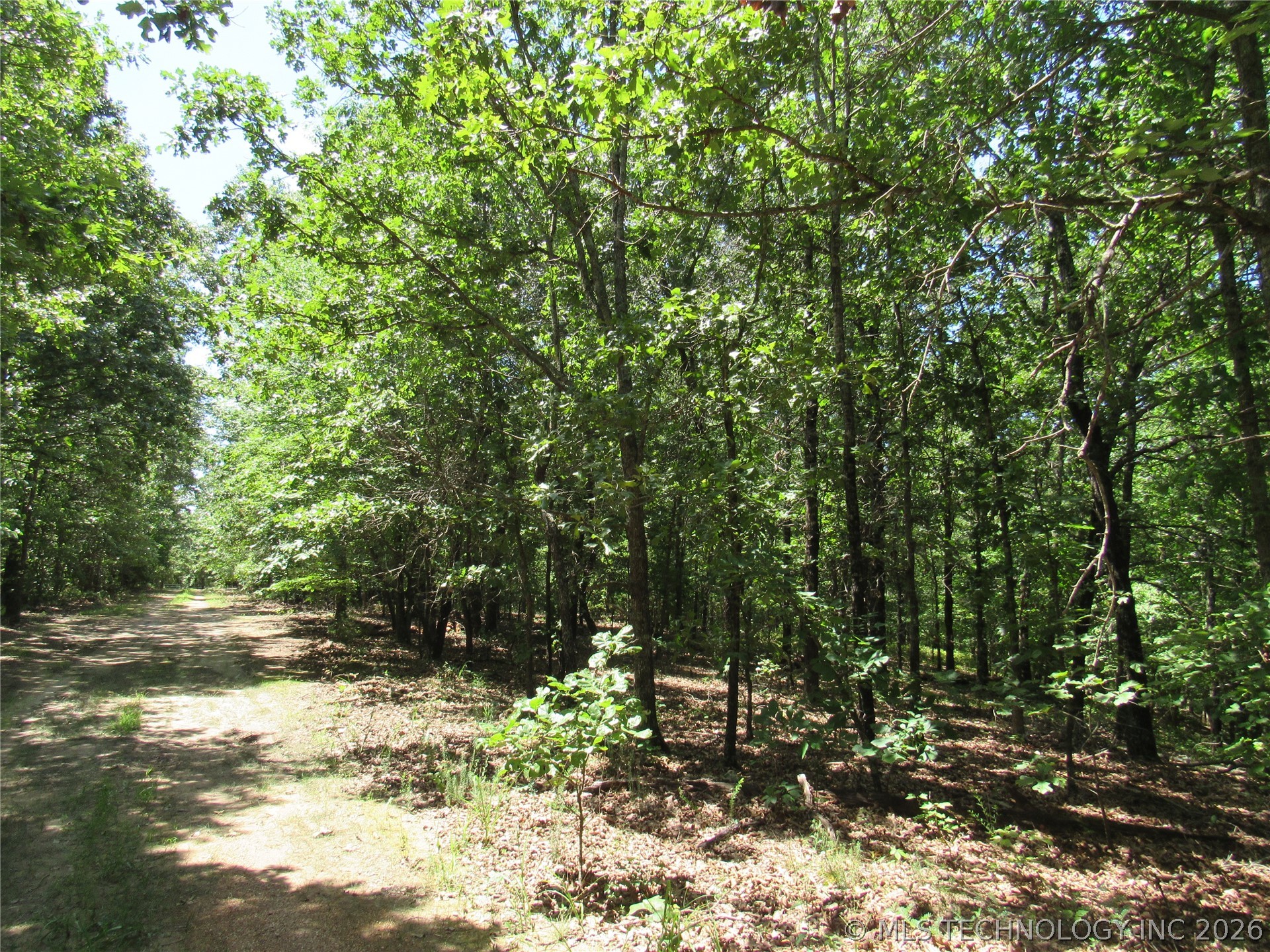 2624169 Property Photo 13