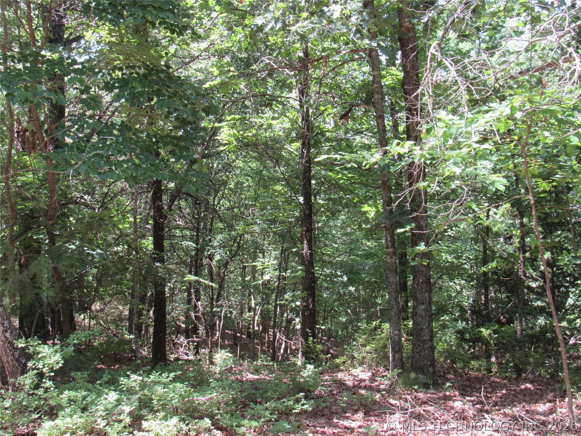 2624169 Property Photo 14