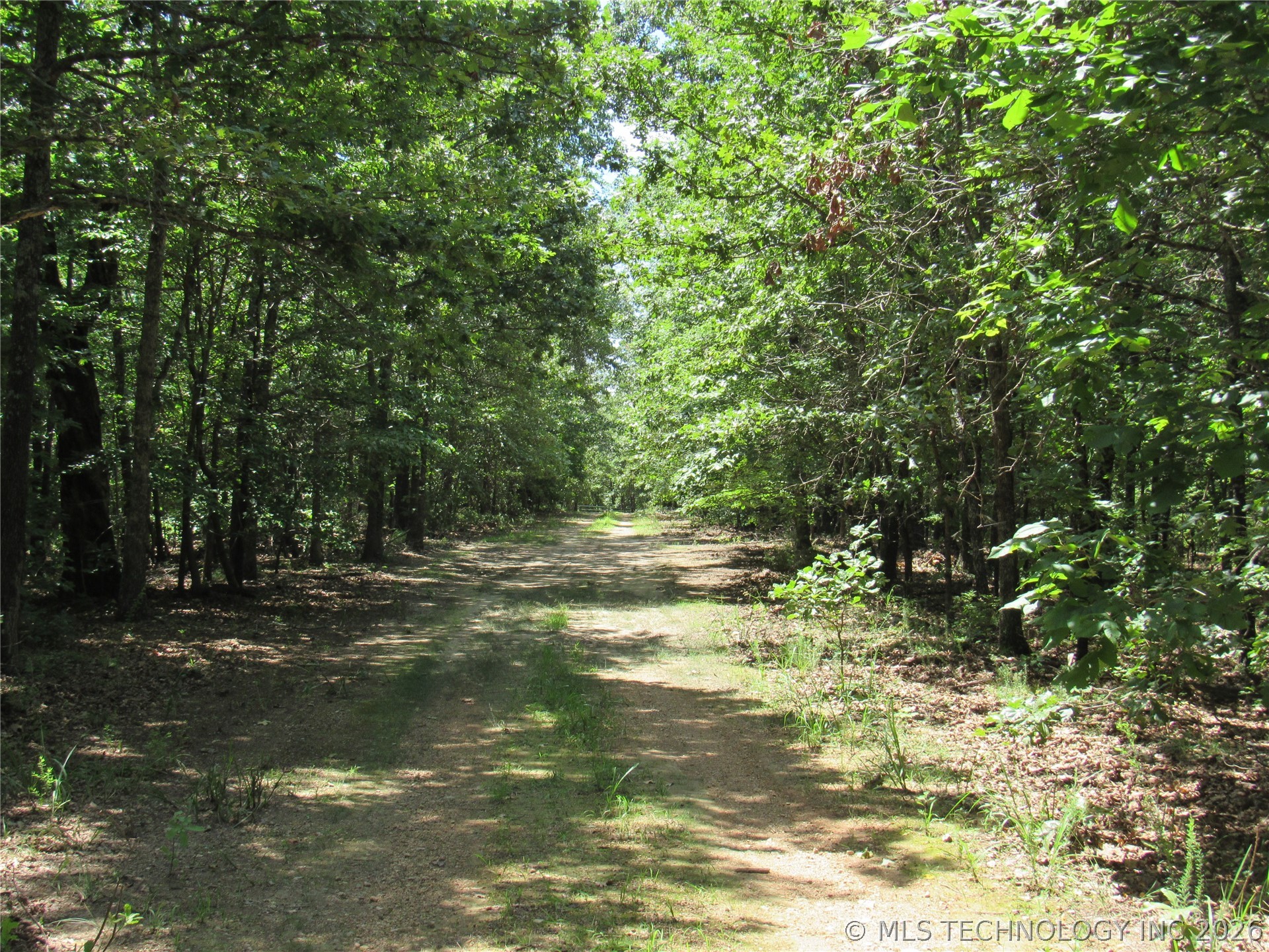 2624169 Property Photo 15