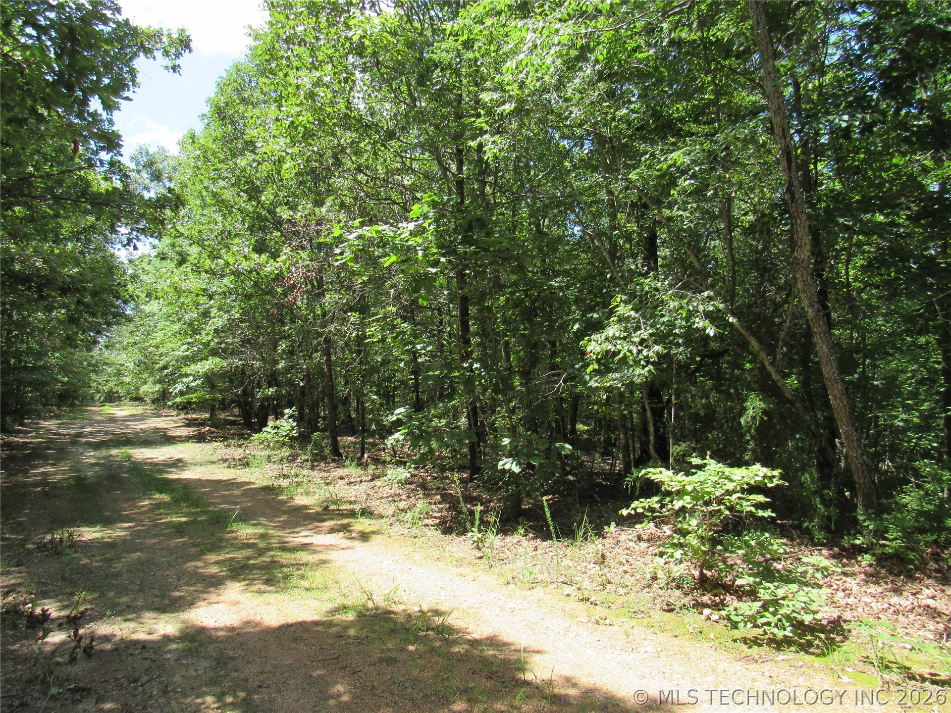 2624169 Property Photo 16