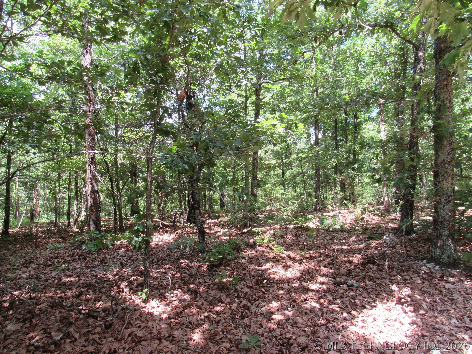 2624169 Property Photo 17