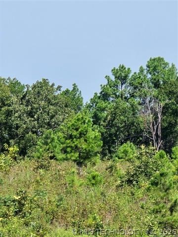 Rural Route Property Photo 9