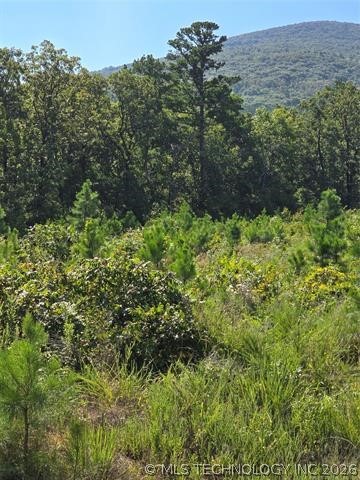 Rural Route Property Photo 10