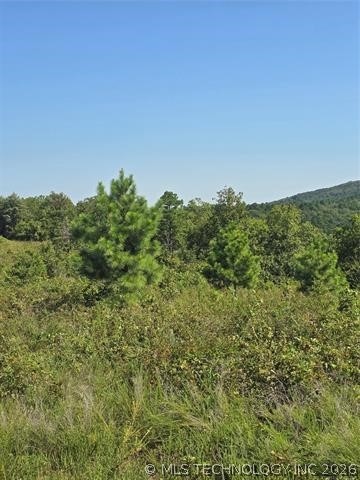 Rural Route Property Photo 11
