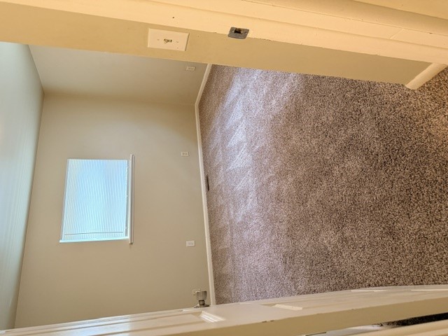 7827 Marilyn Lane Property Photo 16