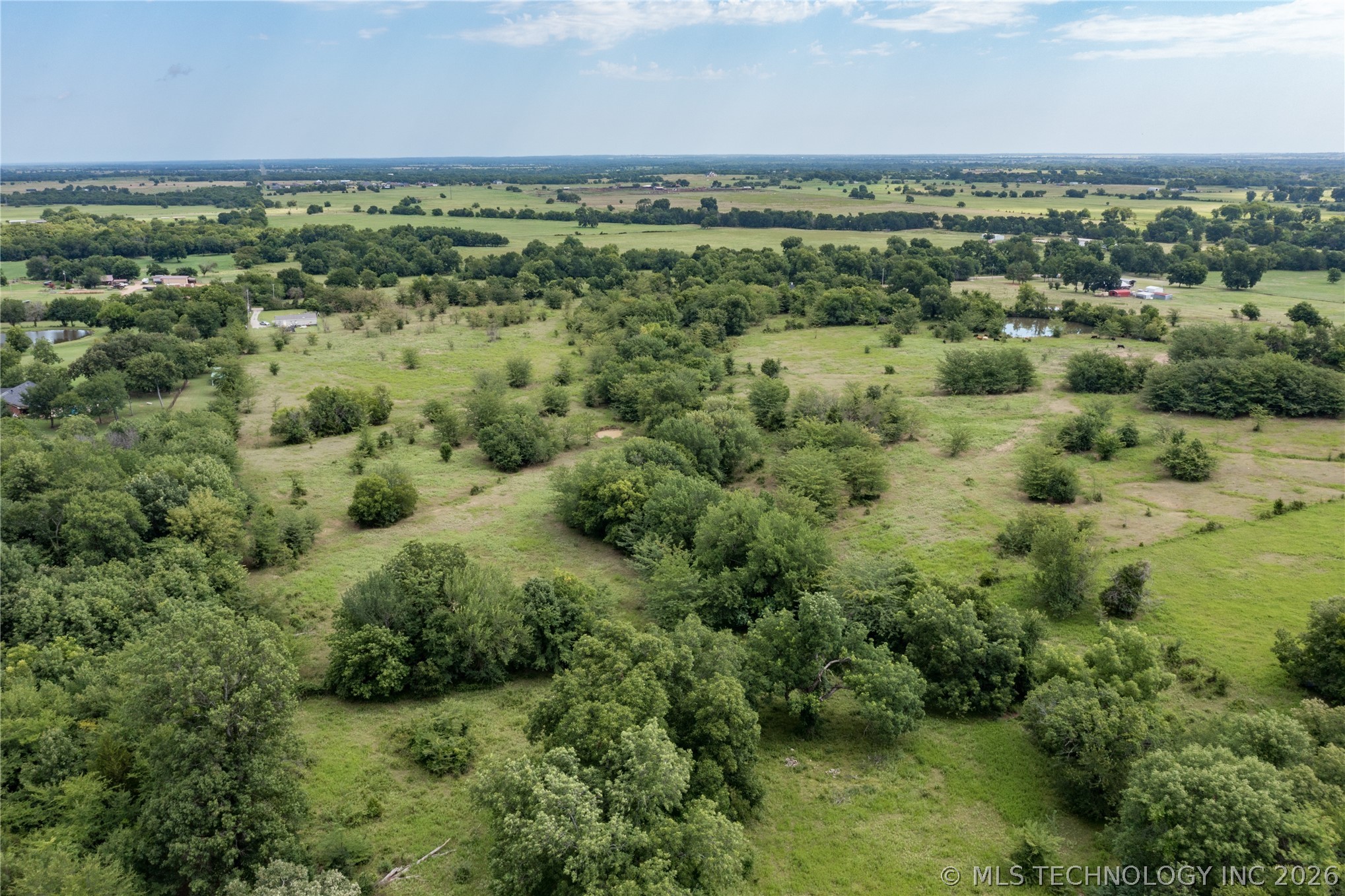 1007 Forest Lane Property Photo 15