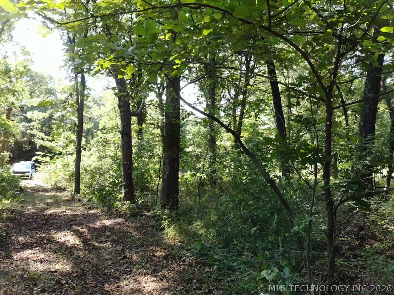 Texoma Hills Road Property Photo 25