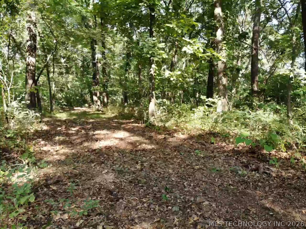 Texoma Hills Road Property Photo 37