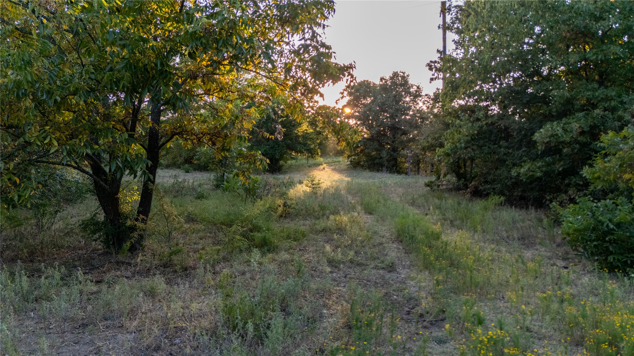 0000 3870 Road Property Photo 9